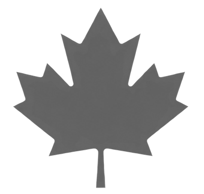 Gray maple leaf silhouette on a transparent background.