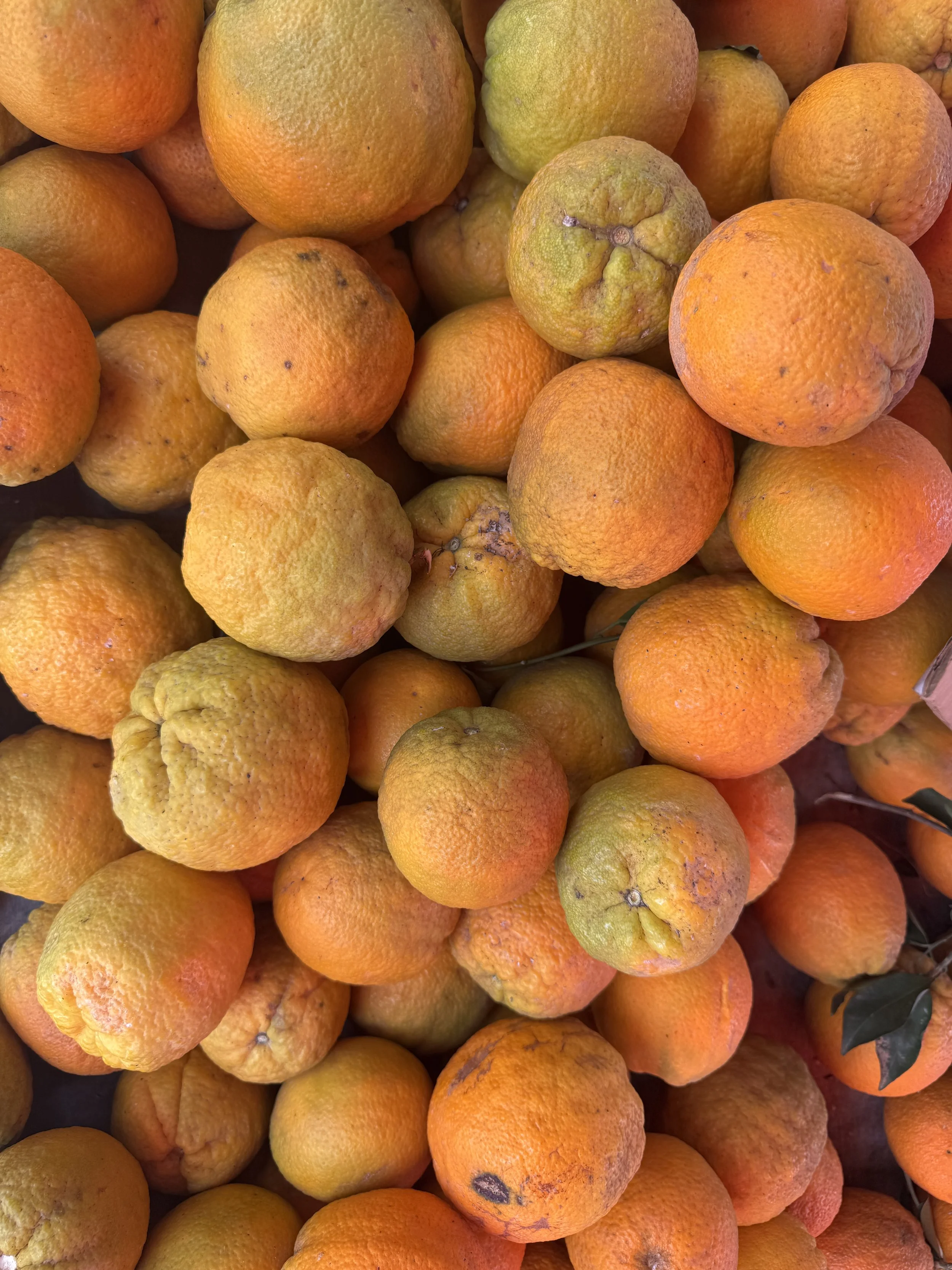 A large pile of oranges, some looking ripe.