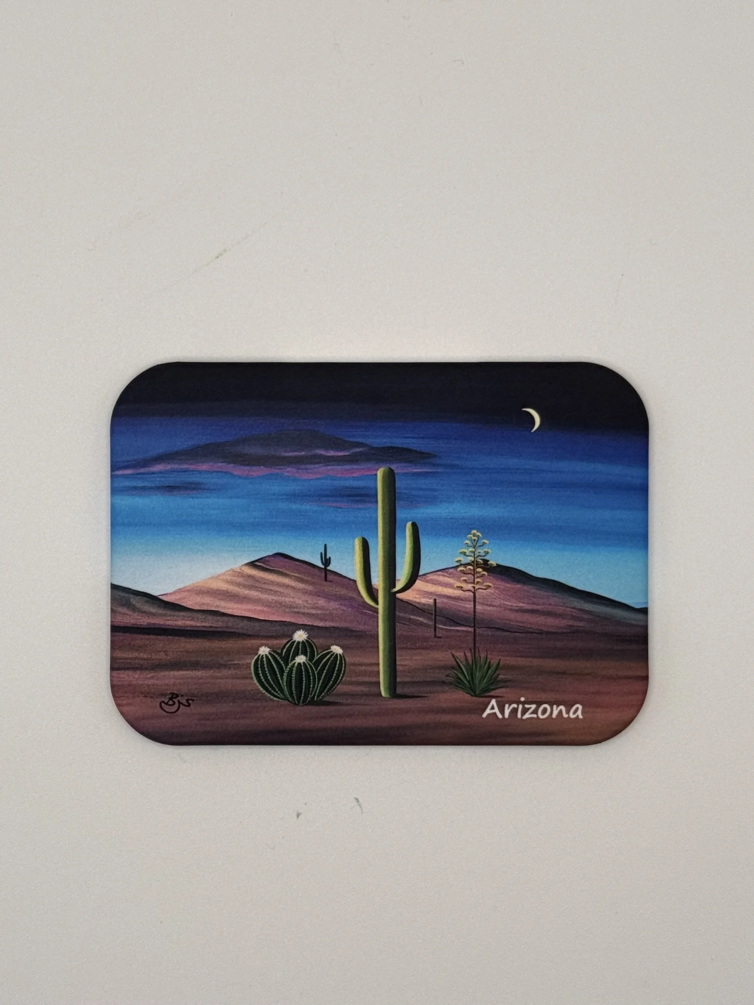 Arizona Desert Night Soft Magnet by Brenda J Studios