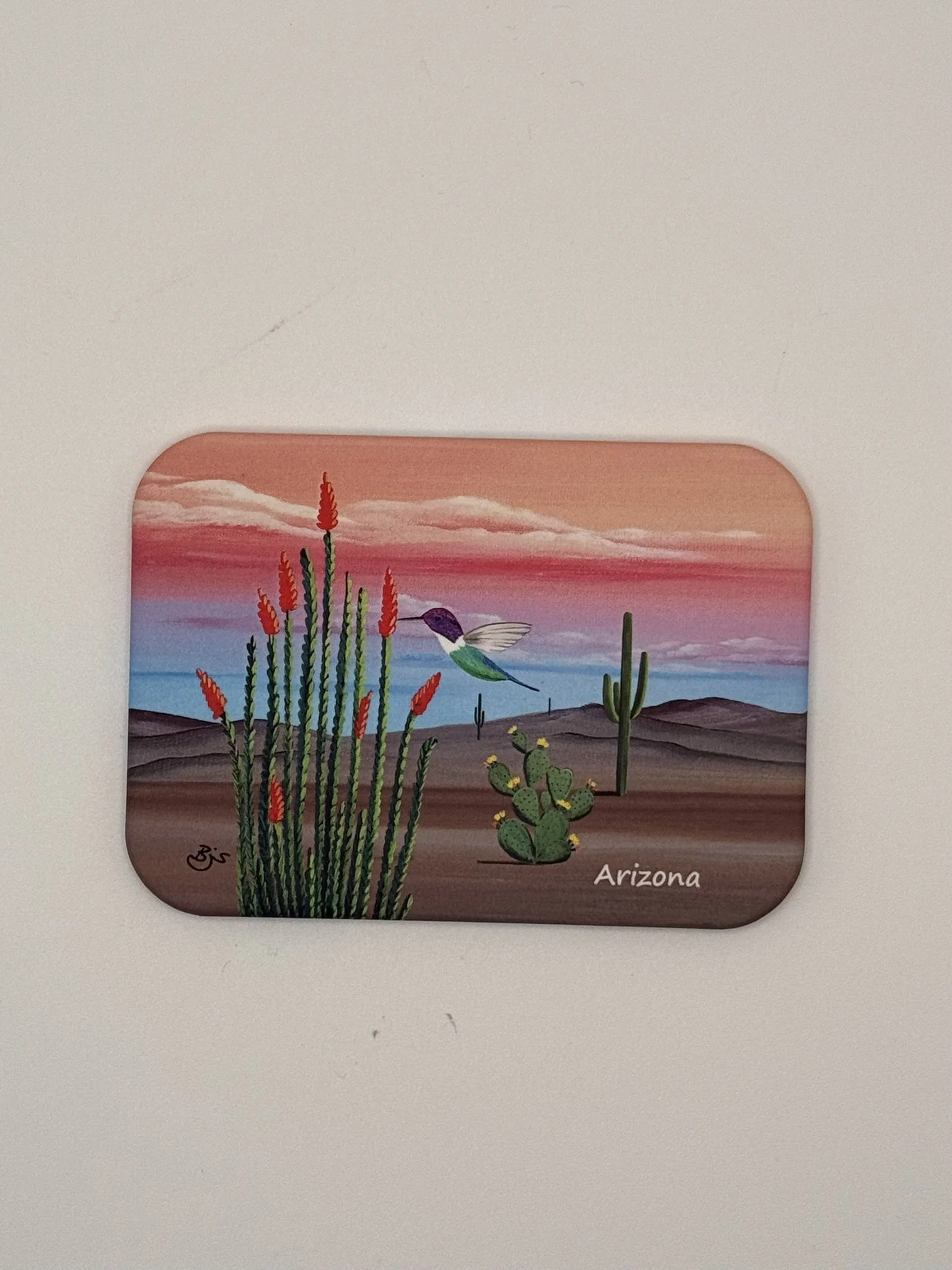 Arizona Desert Hummingbird Soft Magnet by Brenda J Studios