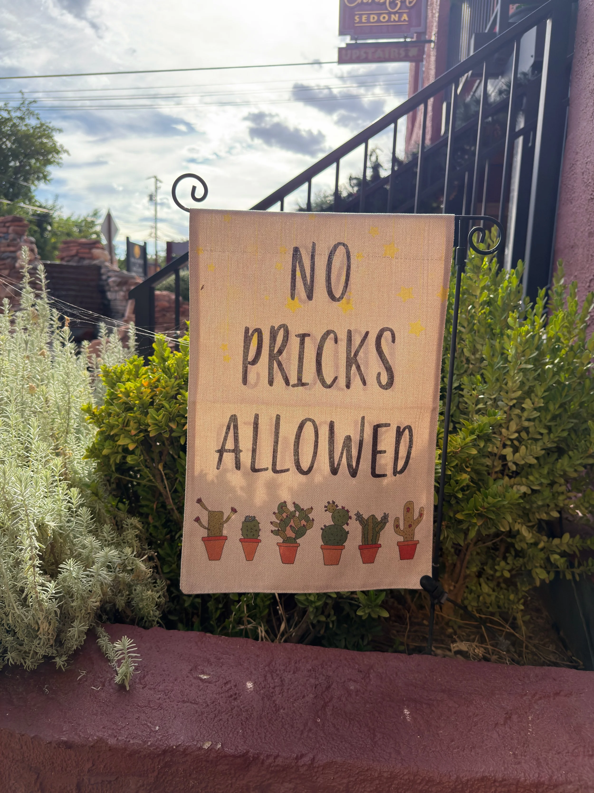 Sign that reads "No Pricks Allowed" with illustrations of potted cacti at the bottom, placed among plants outside a building.