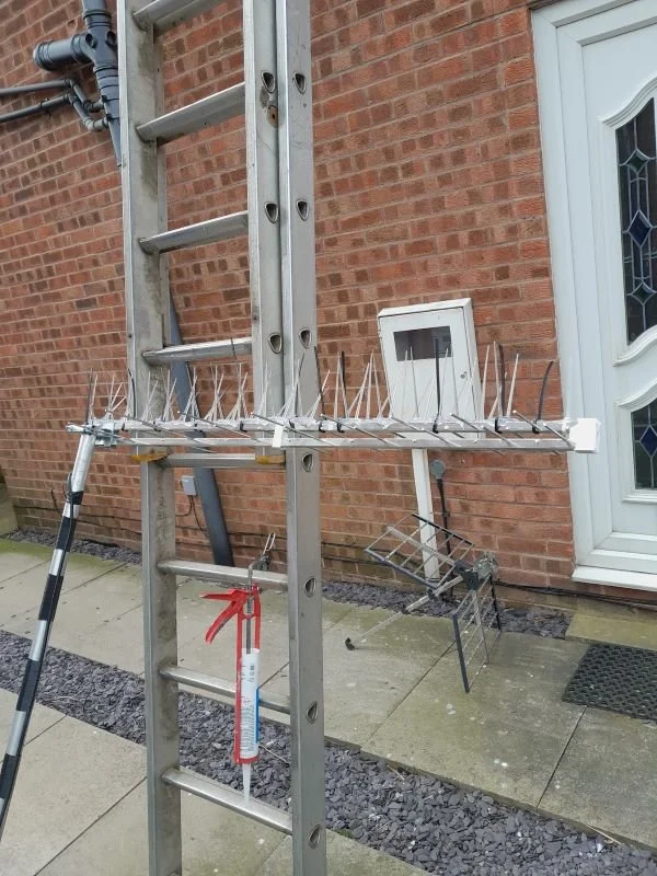 Bird spikes being fitted to a new digital aerial