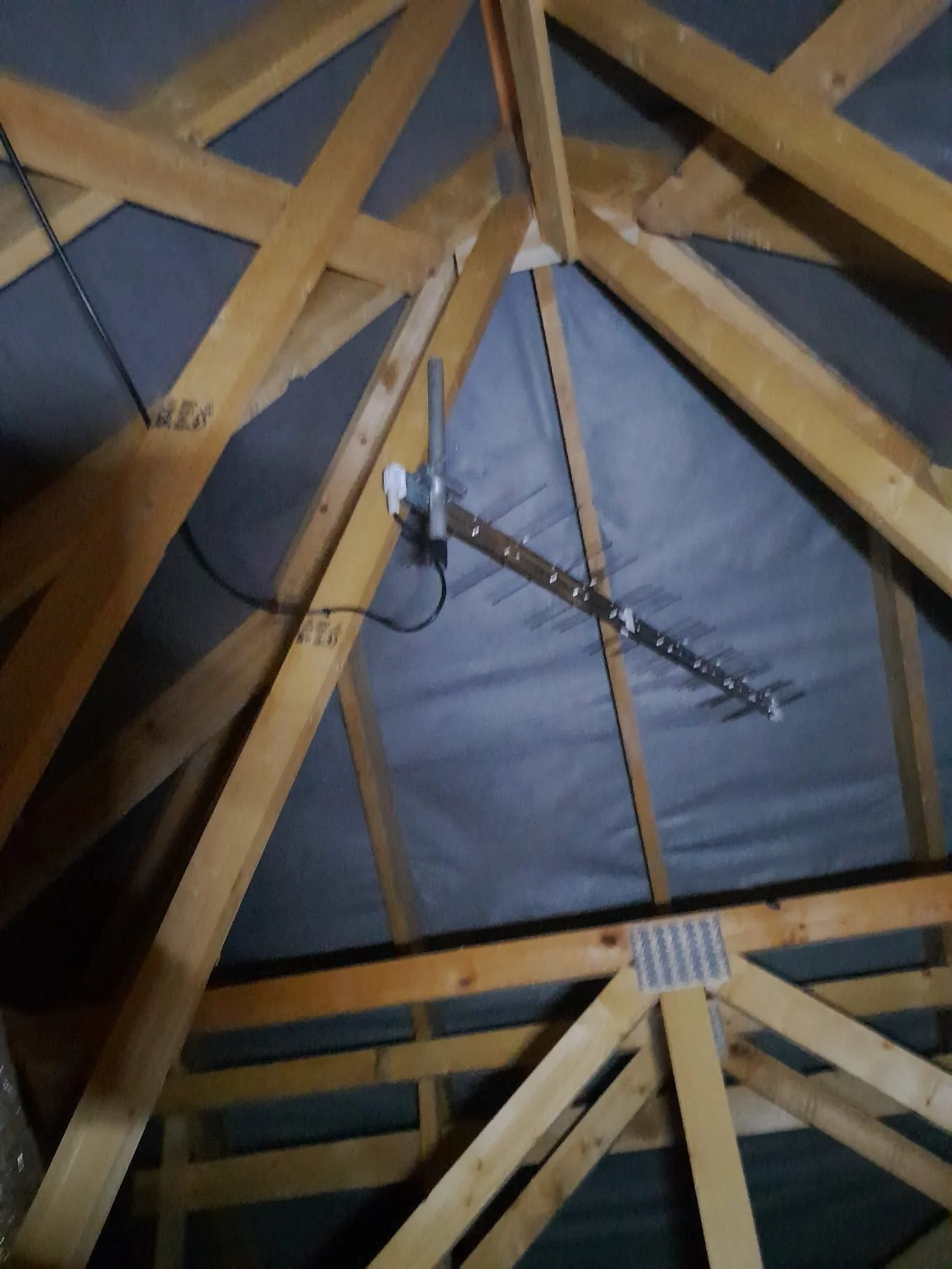 The image shows a digital aerial installed to a loft area in a new build property showing exposed rafters