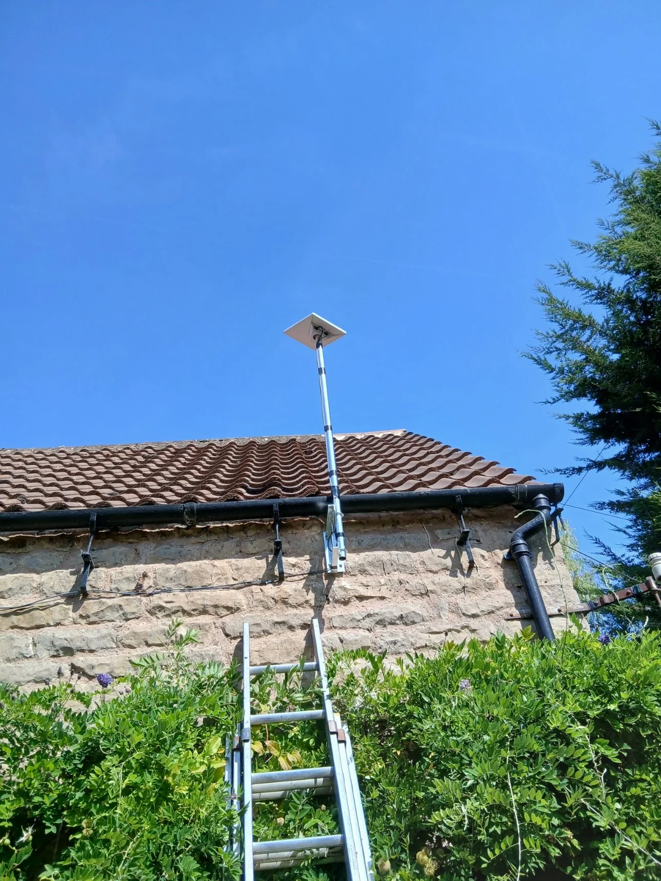 A ladder leaning against a stone house with a tiled roof. A Starlink dish is installed on a pole attached to the house. Green bushes and plants are in the foreground, a tree is visible on the right, and the sky is clear and blue.