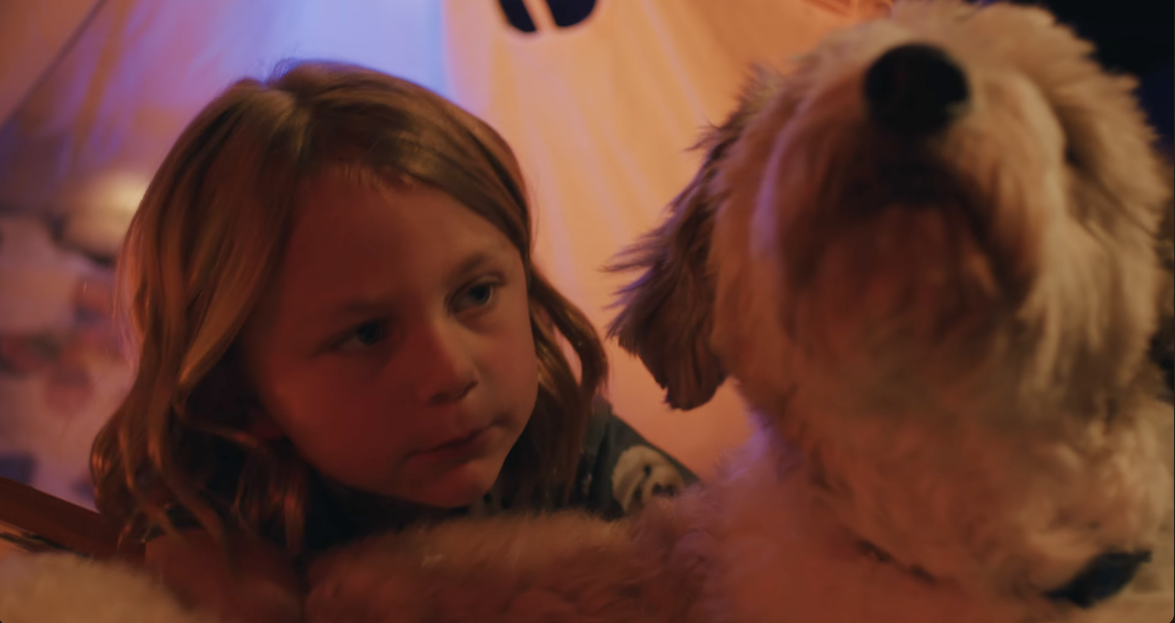 A young girl with red hair and a gray sweater looking at a large, fluffy dog with a golden coat.