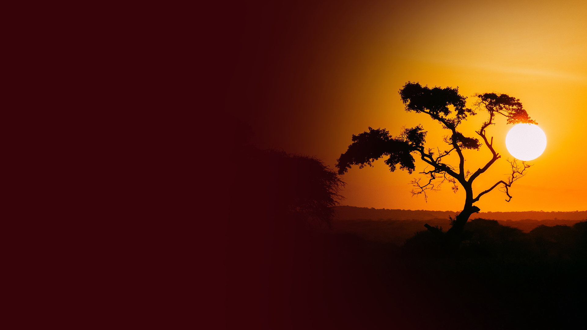 Africa Sunset background photo