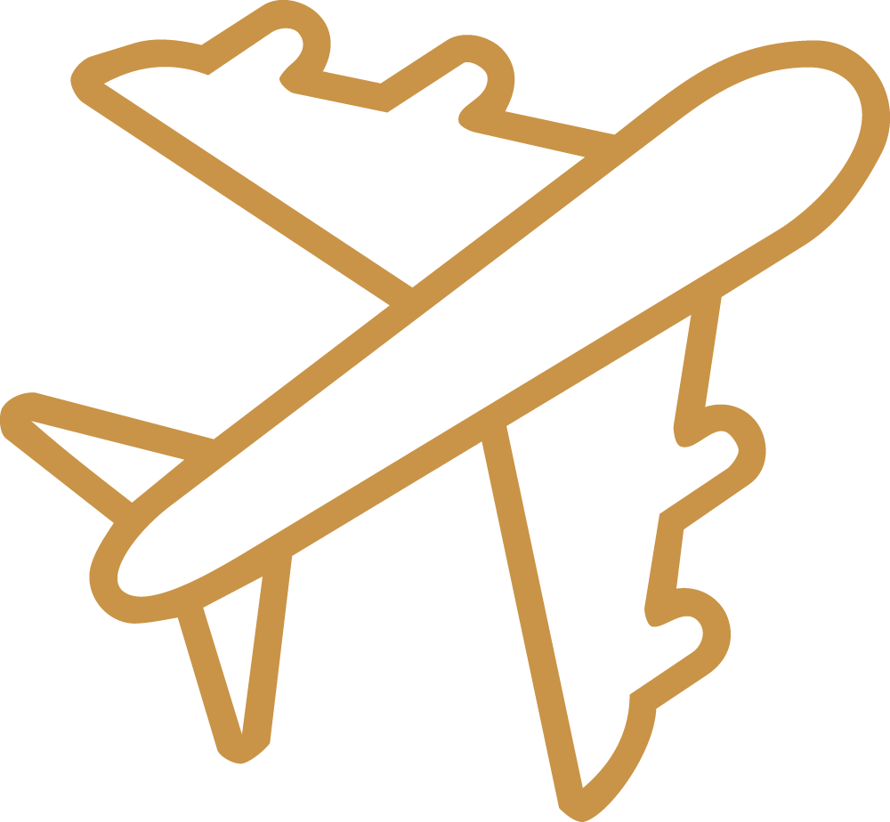 plane icon