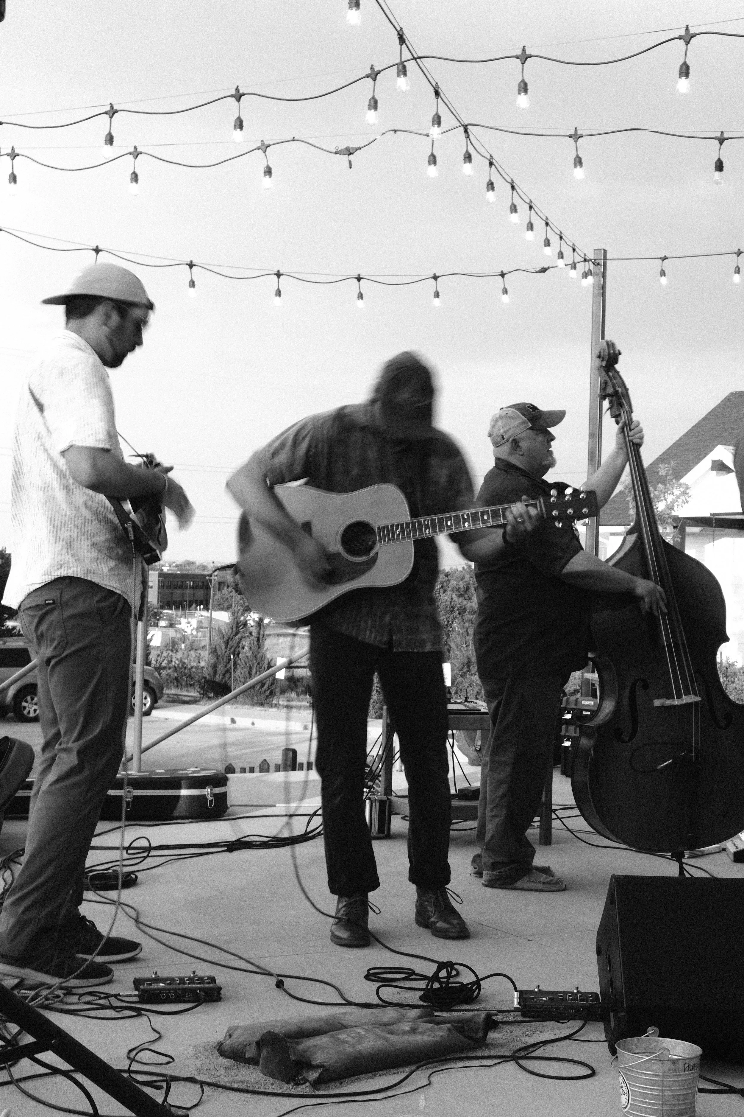 Black and white photo of three musicians performing outdoors under string lights. One is playing a mandolin, another is playing an acoustic guitar, and the third is playing a double bass, with a house visible in the background.