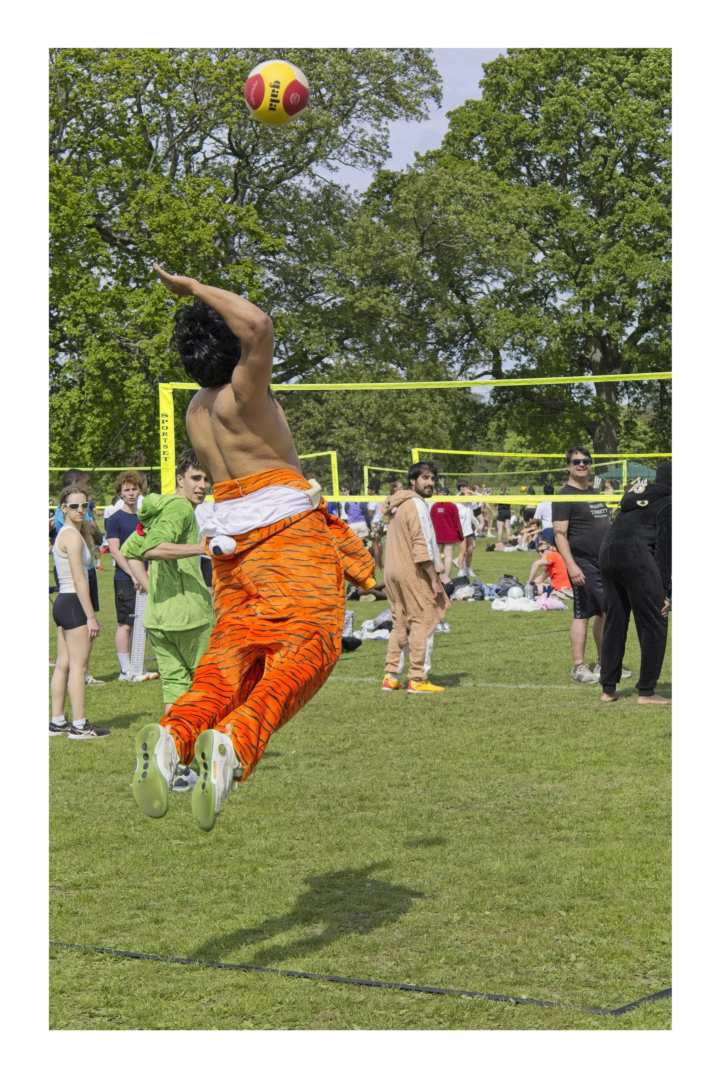 People playing volleyball
