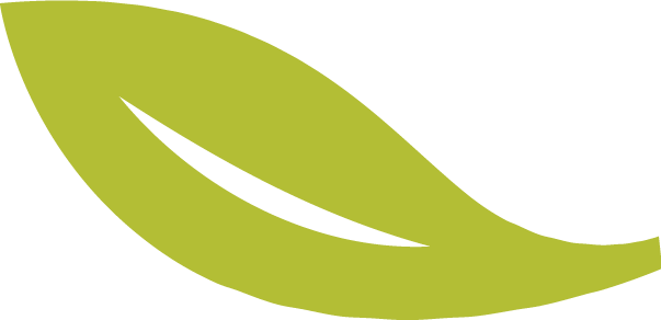 A simple green leaf graphic on a black background.
