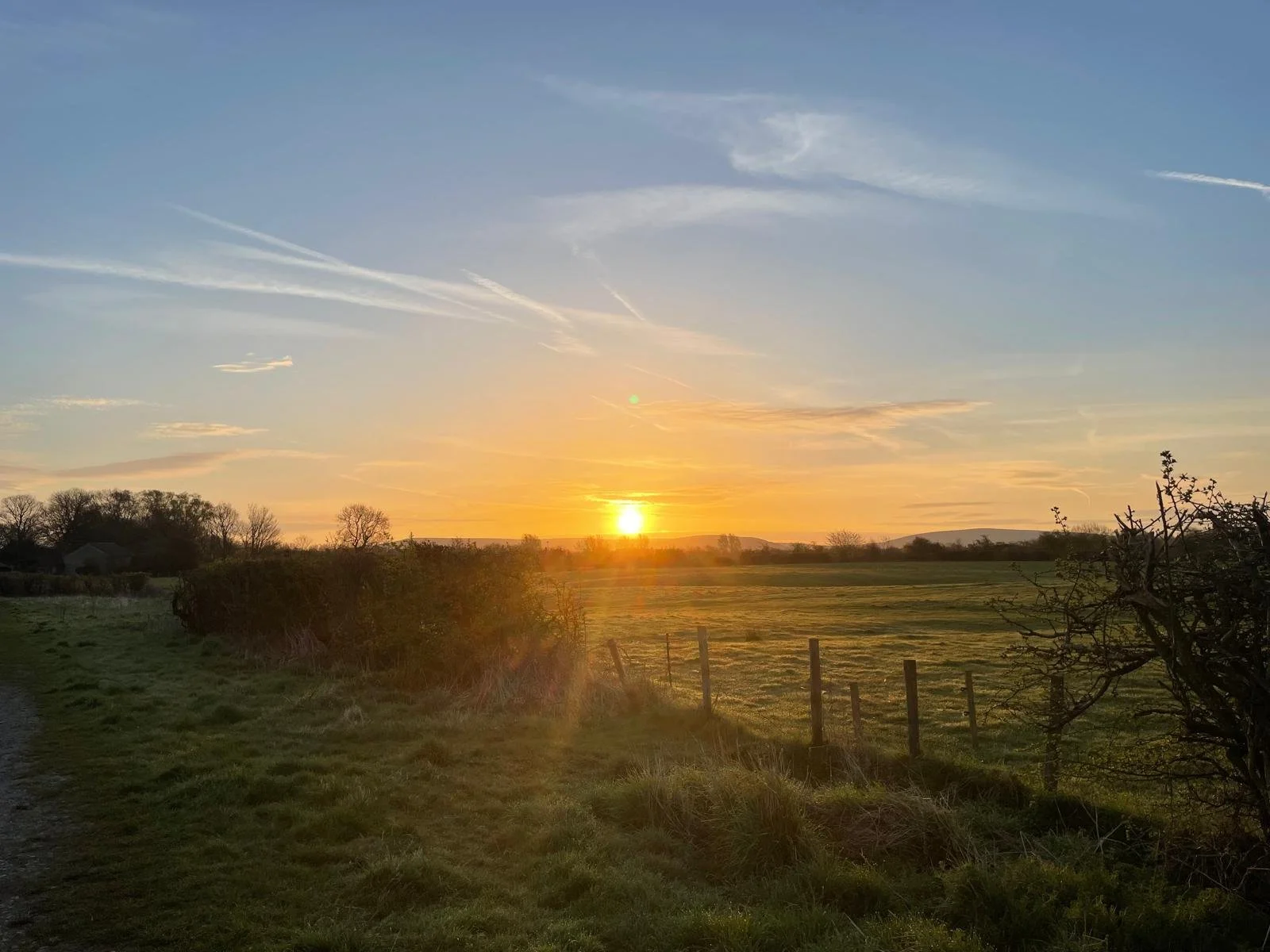 A peaceful countryside landscape during sunset, with a field, trees, and a bright sun near the horizon in a partly cloudy sky.