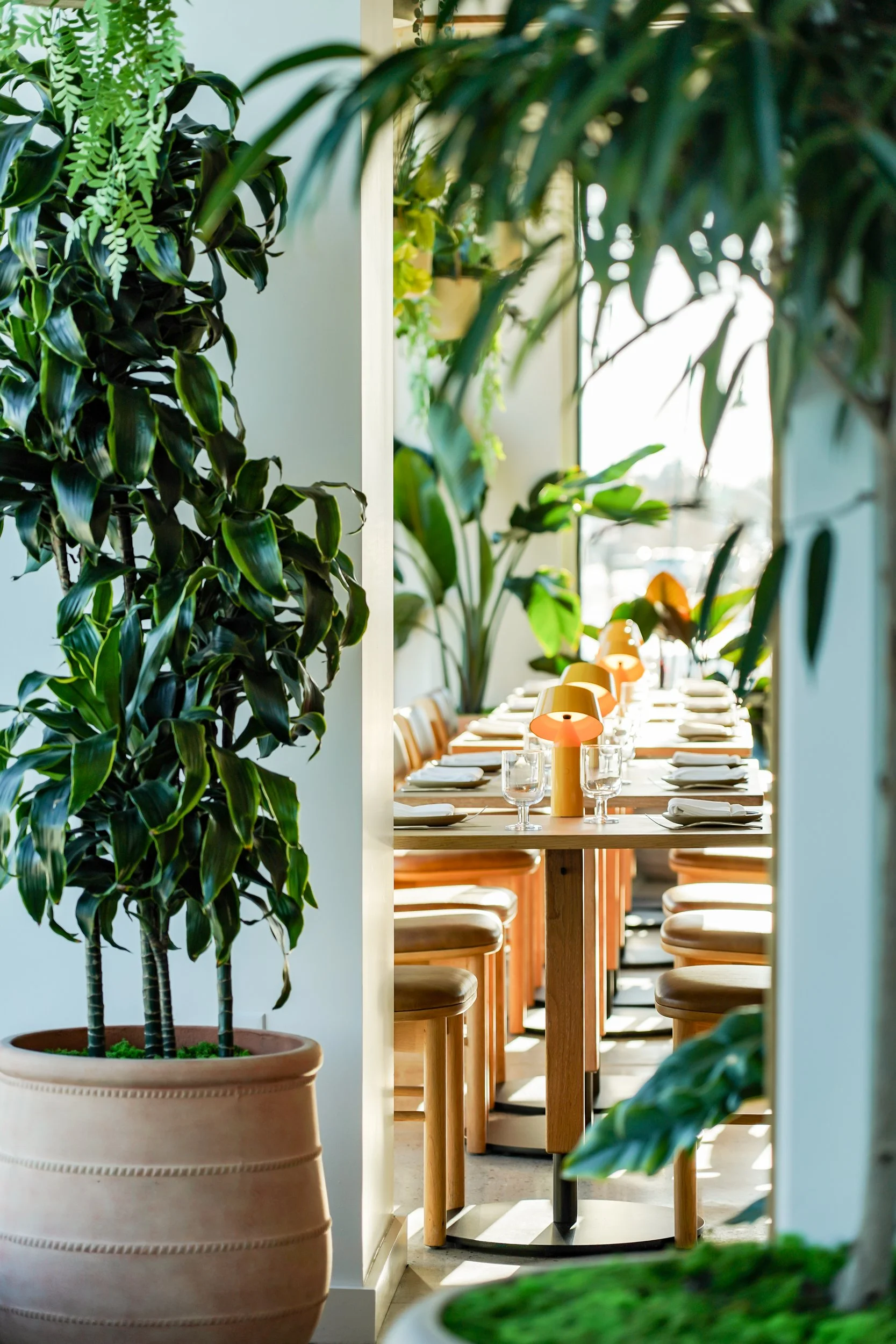maine, seafood, raw bar, local, wine bar, cocktails, brunch, dinner, happy hour, art, portland maine, outdoor patio, private events