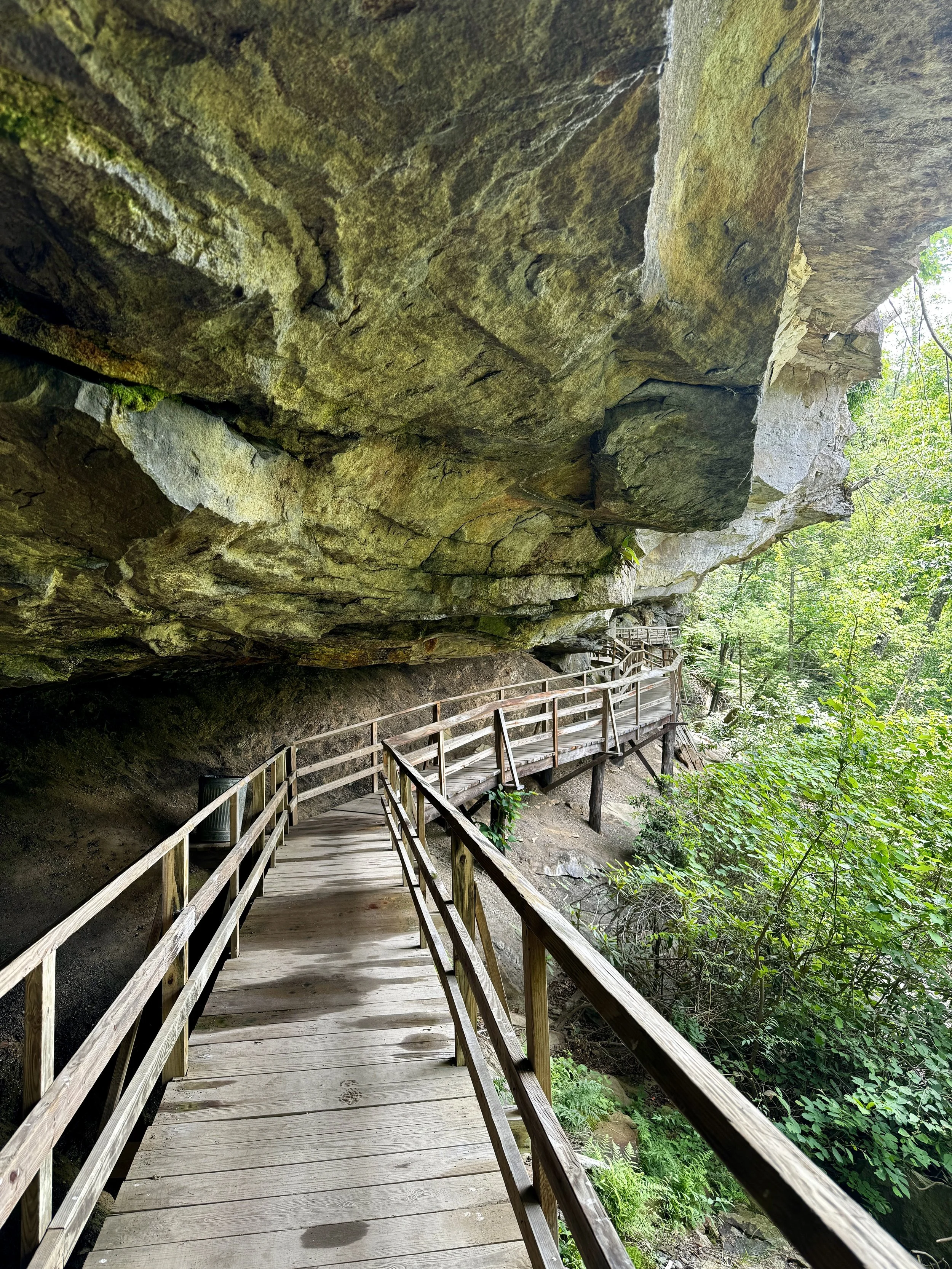 Day Trip: Audra State Park
