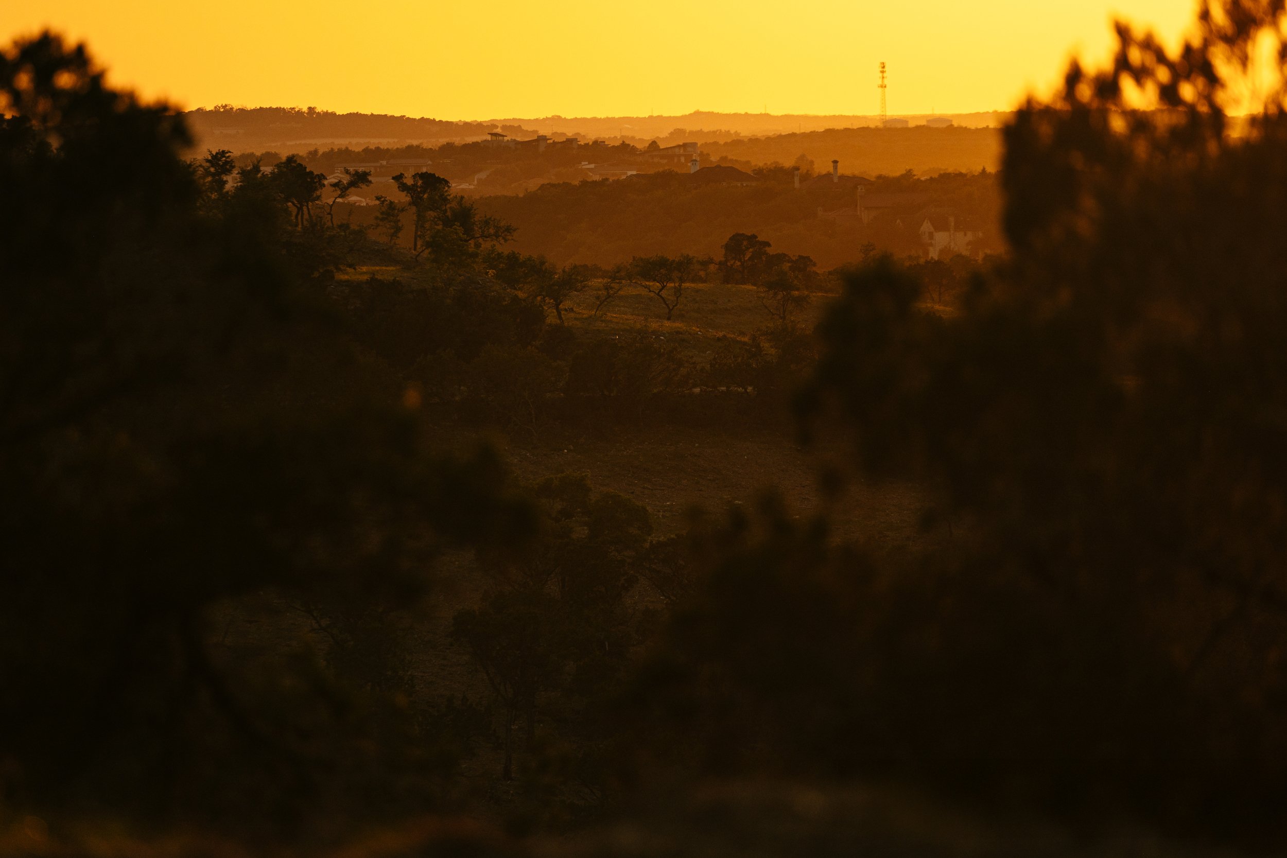 HOLDEN HILLS