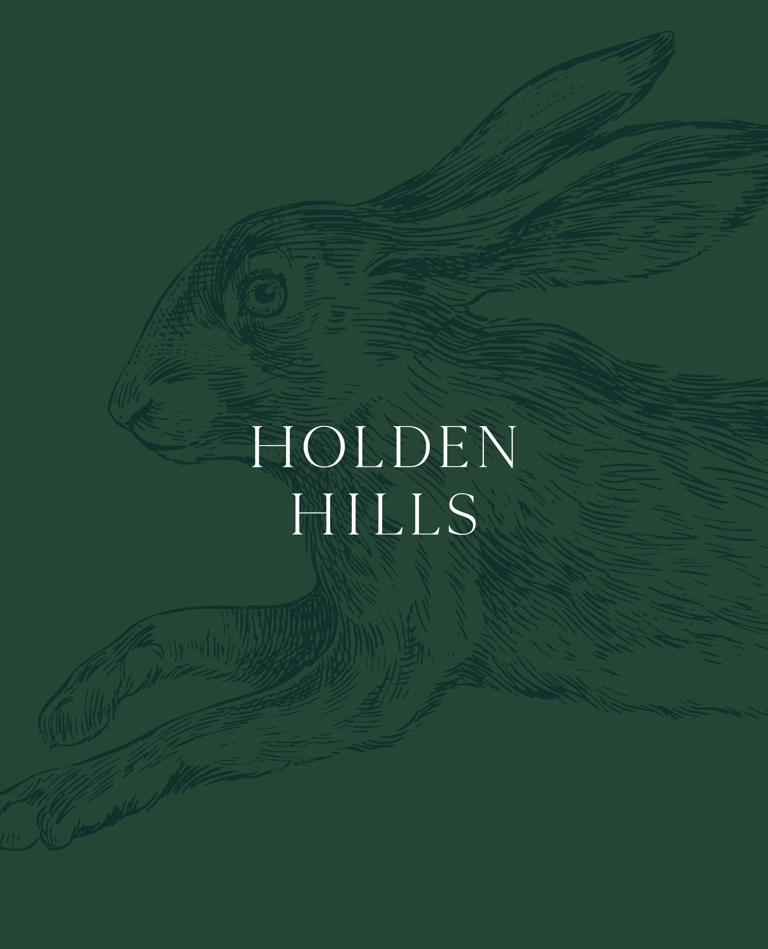 Holden Hills 3.jpg
