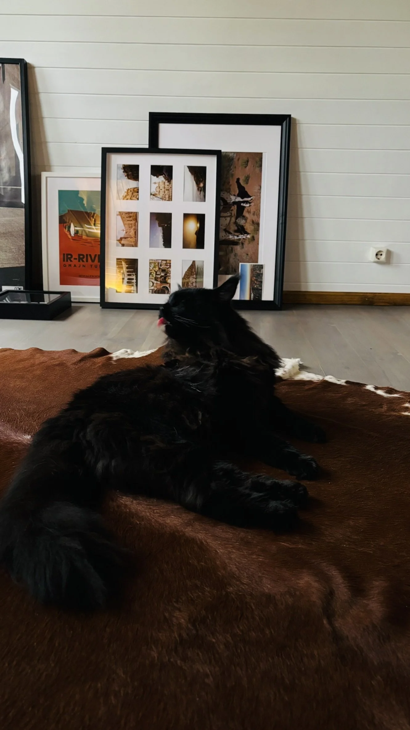 Black cat lying on a brown blanket on the floor, with framed pictures and artwork leaning against a white wall in the background.