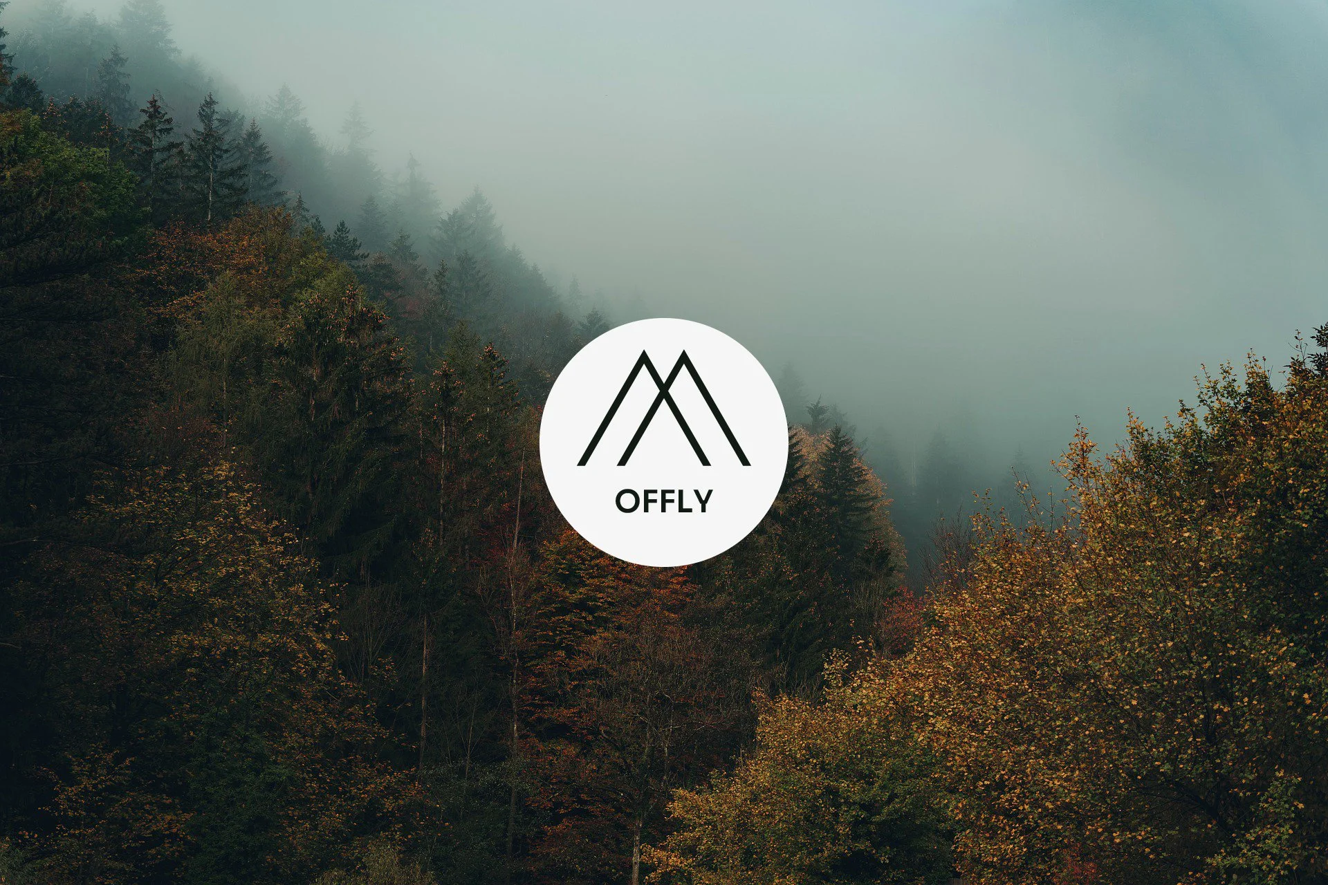 A foggy hillside covered with mossy trees and autumn foliage with a white circle in the center containing a black mountain and a logo of a brand called OFFLY.