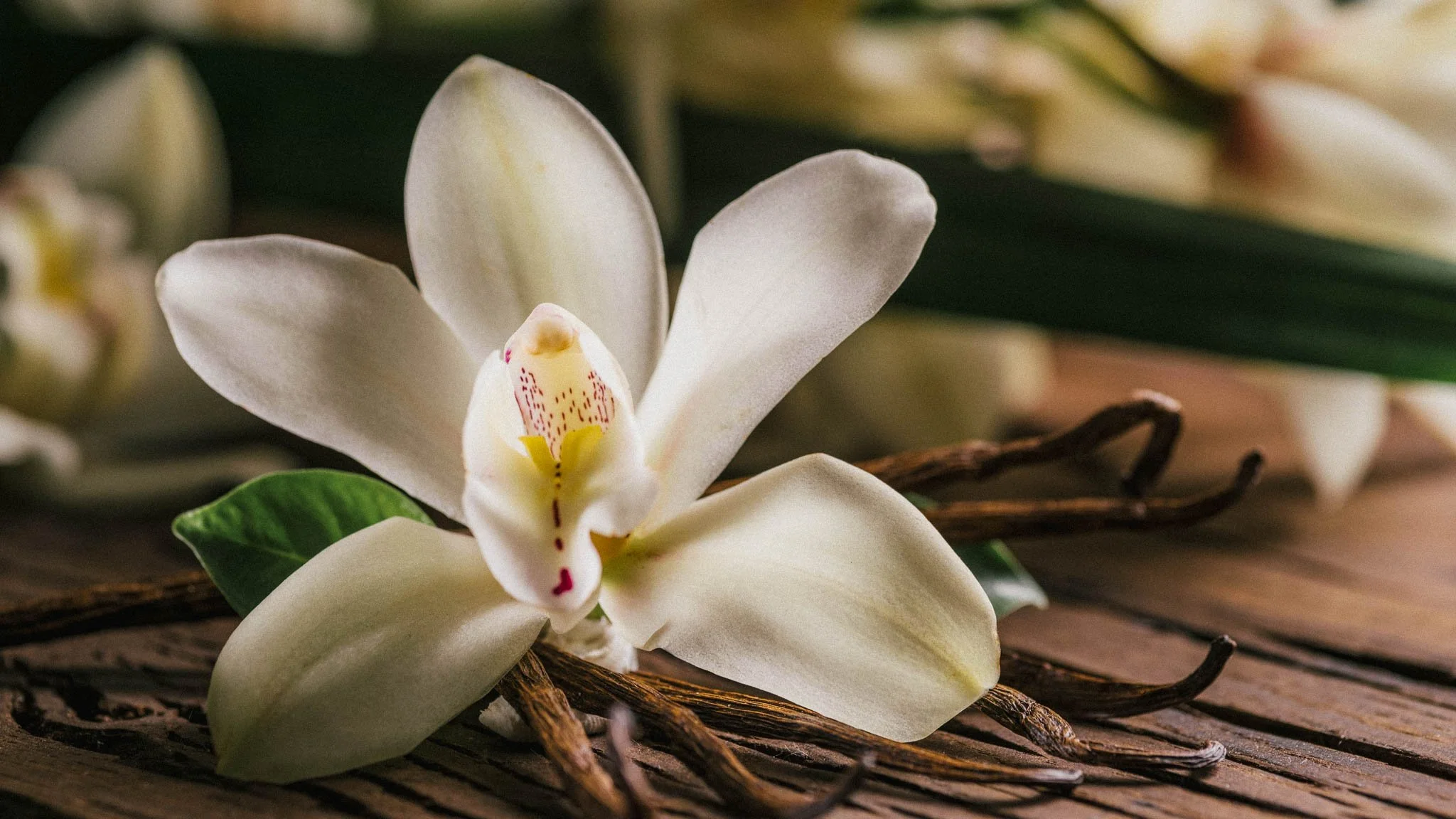 Aromahieronnan eteerisen öljyn aromi vanilja.