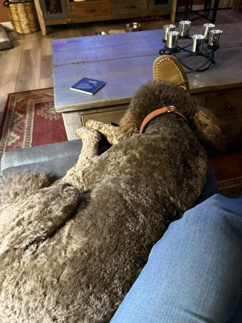 Slippers.JPG