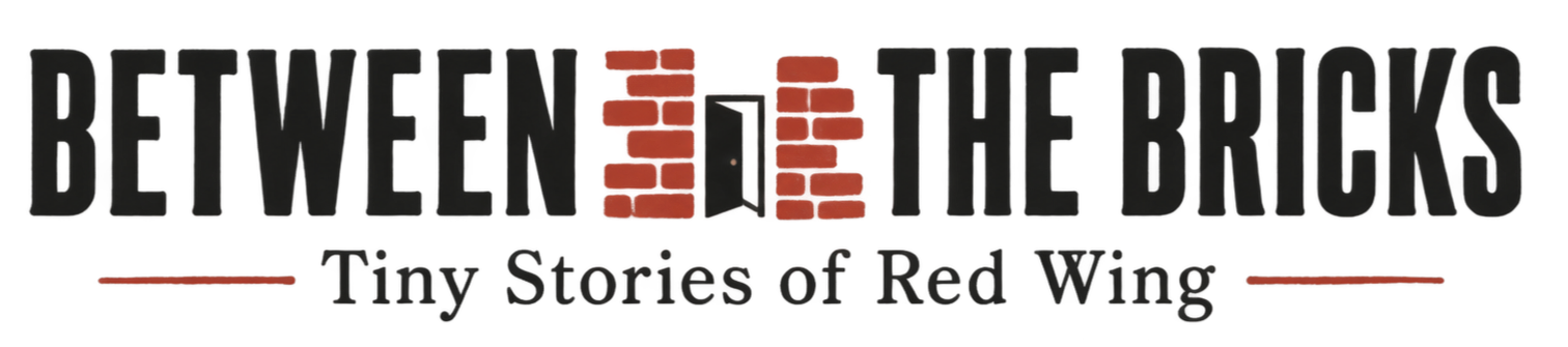 Book cover titled 'Between the Bricks: Tiny Stories of Red Wing' with a brick wall illustration in the center and red lines above and below the title.