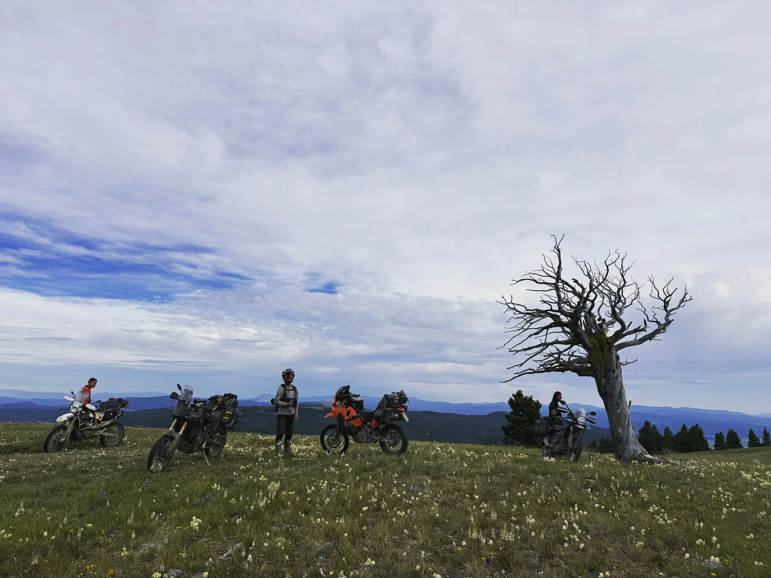 Doing new things, seeing new places
Fly. Rent. Ride.
#ridebdr #throttletherapy #MTBDR #Montana