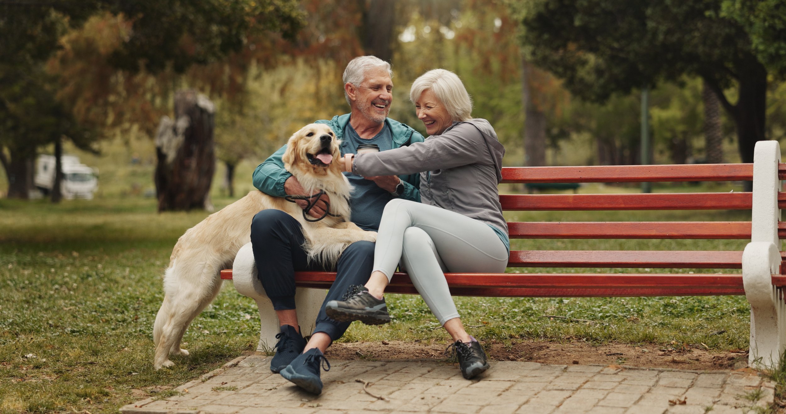An elderly couple and a golden retriever dog smiling and sitting on a park bench surrounded by trees with autumn foliage.