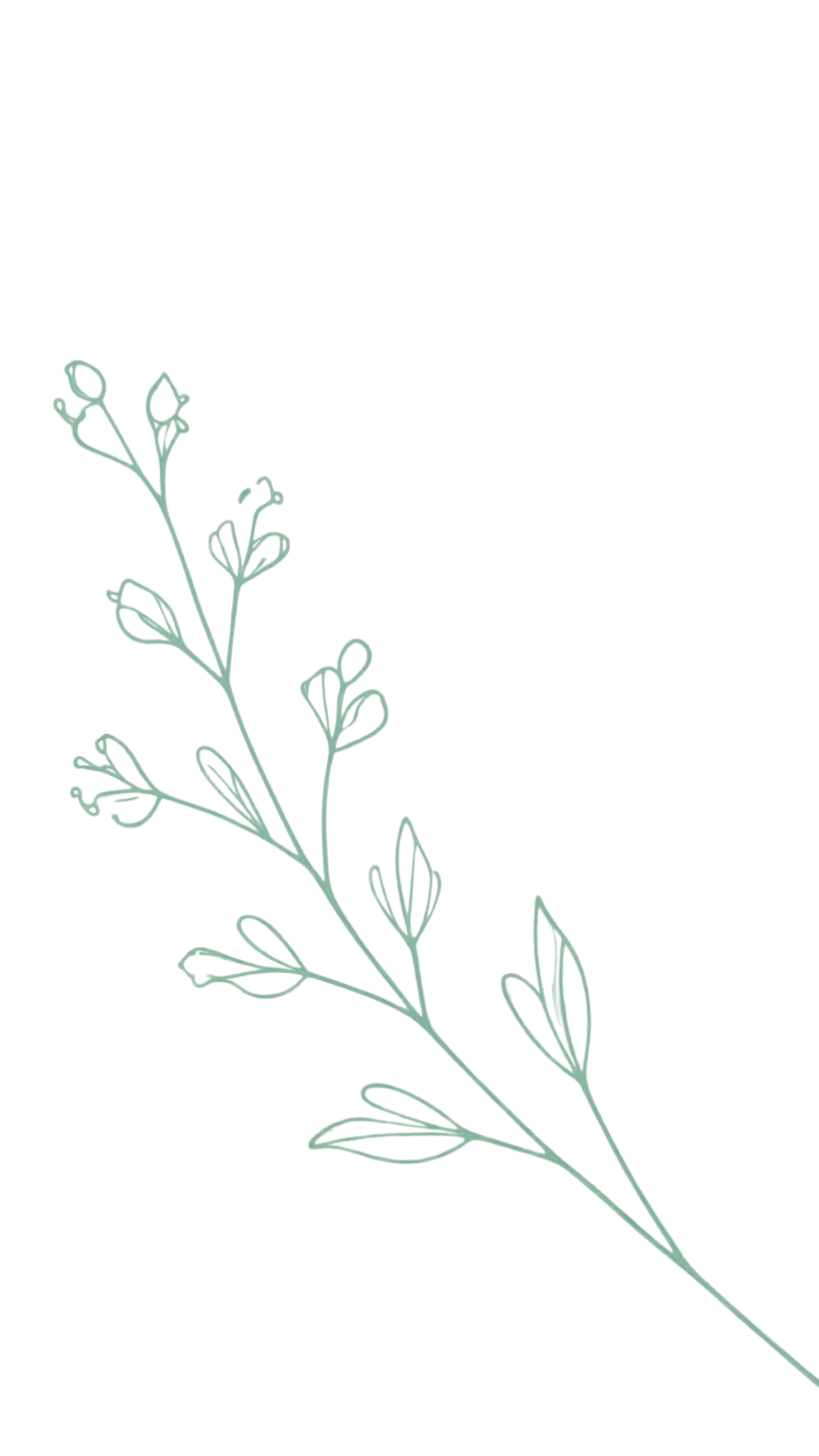 Minimalist illustration of a green botanical branch with leaves on a white background.