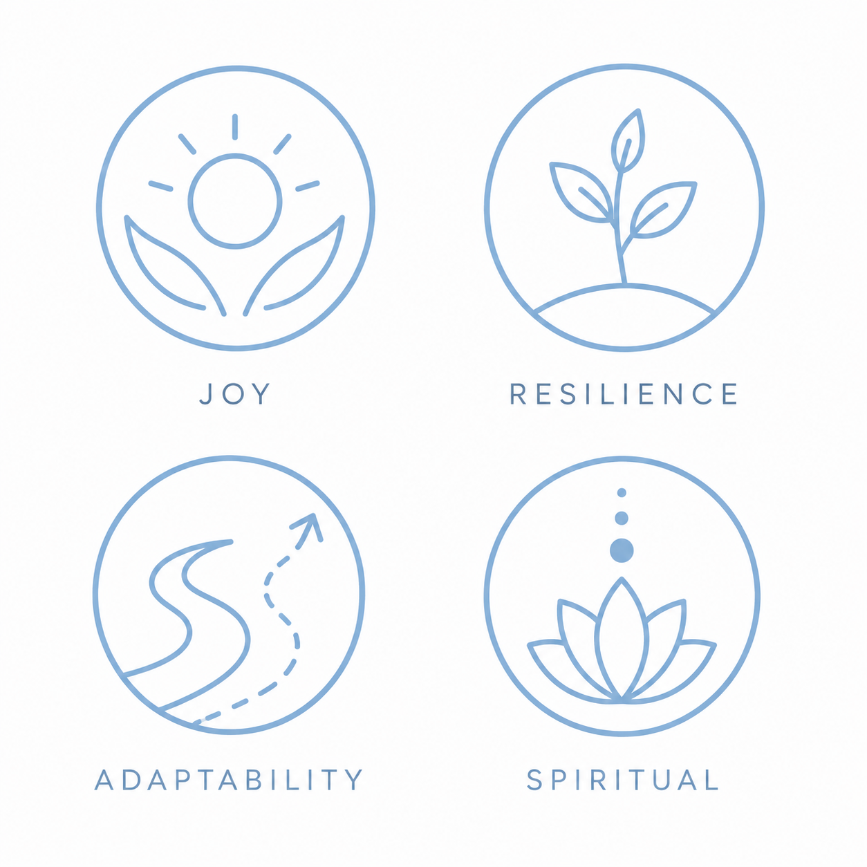 Four minimalist line drawings representing qualities: Joy with a sun and plant; Resilience with a plant sprouting; Adaptability with a winding road and arrow; Spiritual with a lotus flower and dots, each labeled underneath.