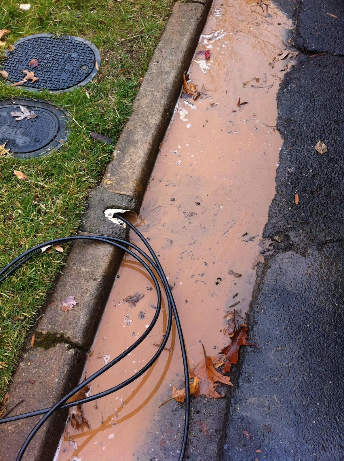 A muddy puddle on a sidewalk next to a grassy area with manhole covers nearby. There are fallen leaves on the grass and in the water, and some black cables are lying across the sidewalk, with one end near a hole in the curb.
