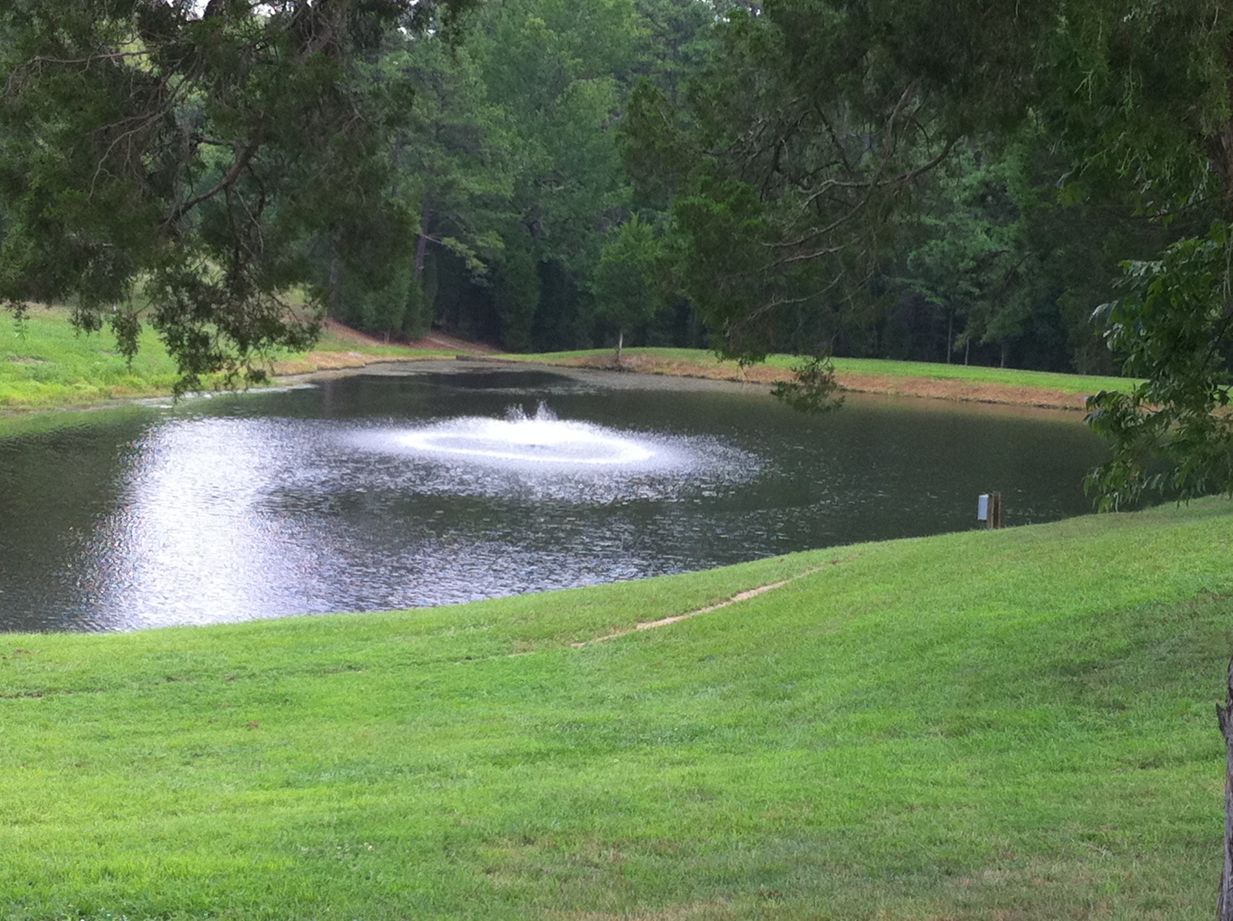 A green park with a small pond reflecting trees, and a fountain spraying water, surrounded by lush grass and trees.