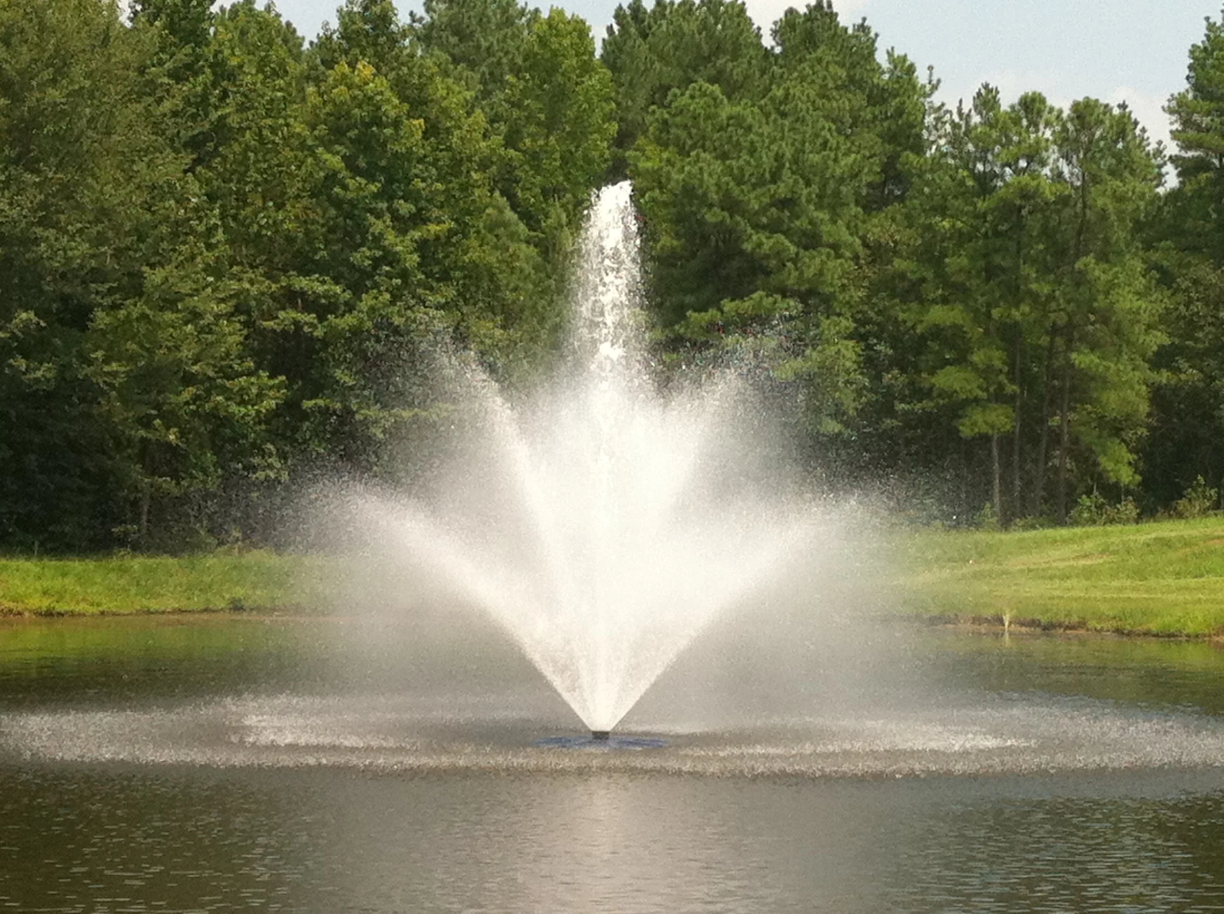 A water fountain shooting water into the air in a park, surrounded by green trees and a grassy area.