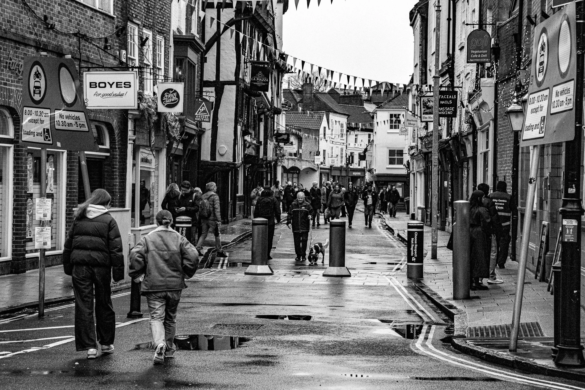 A busy pedestrian street in a city with people walking and dogs, lined with shops and signs, in black and white.