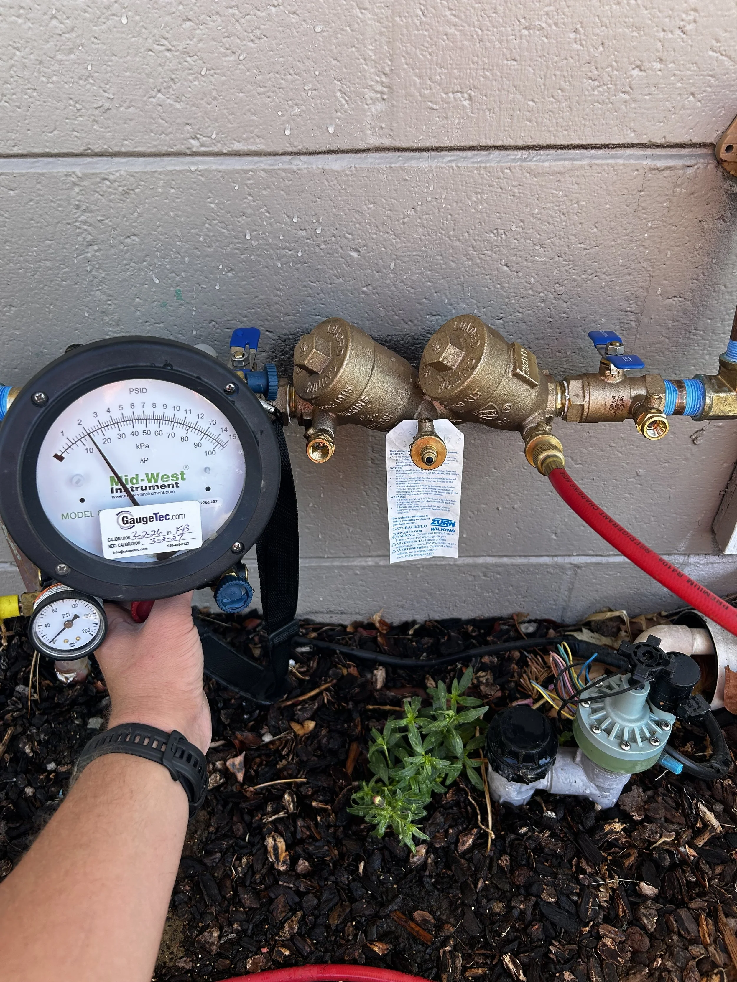 Backflow Test