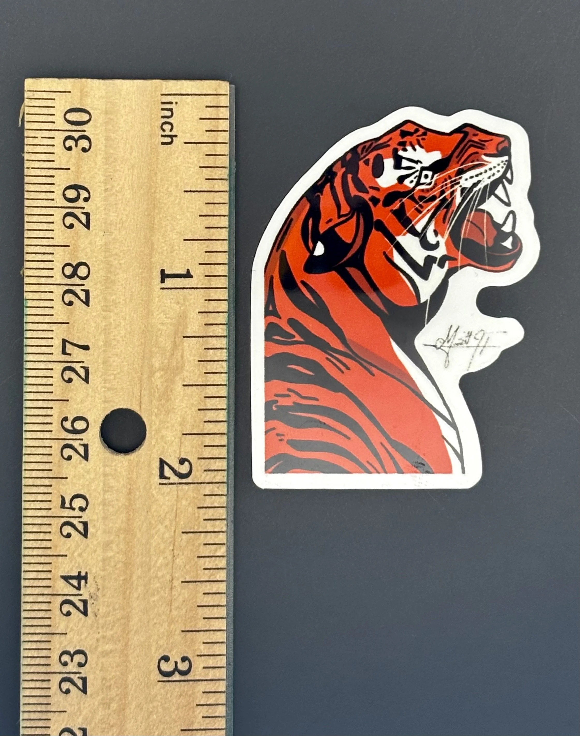 Tiger 4.jpeg