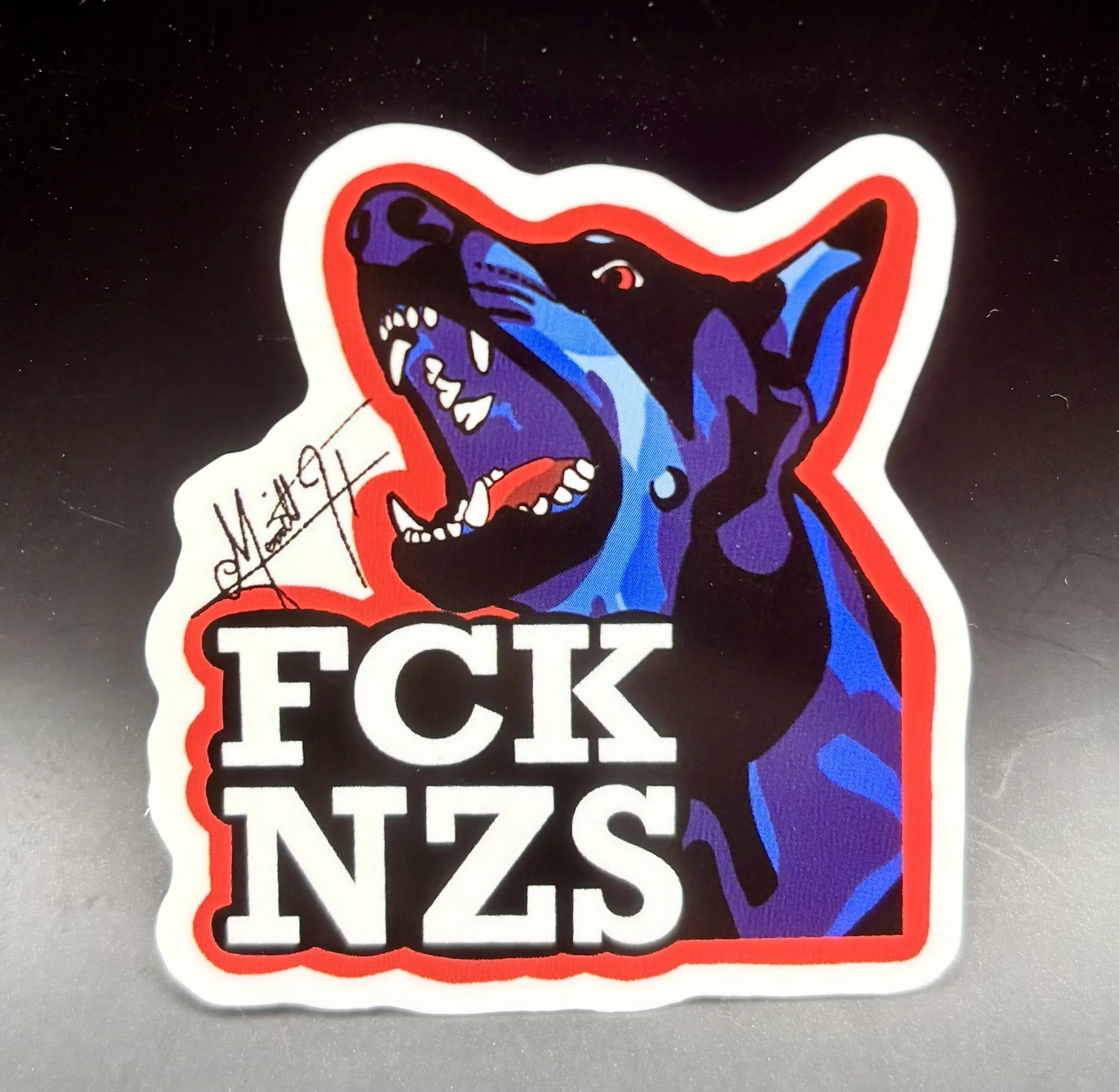 FCKNZS 2.jpeg