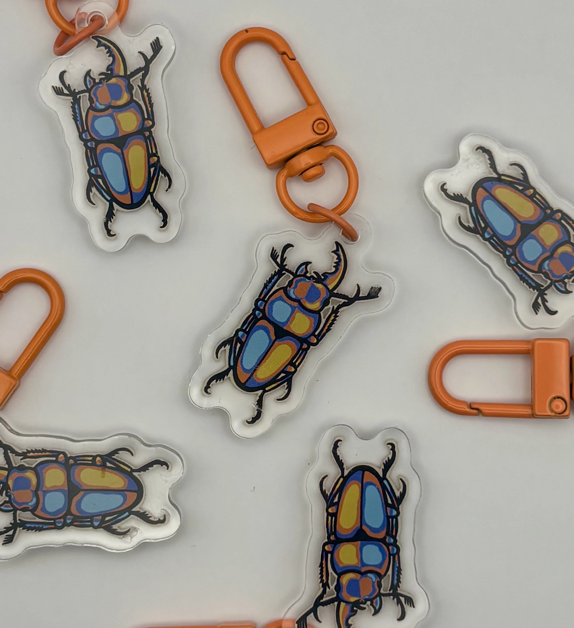 Aro Ace Beetle Pride Keychain