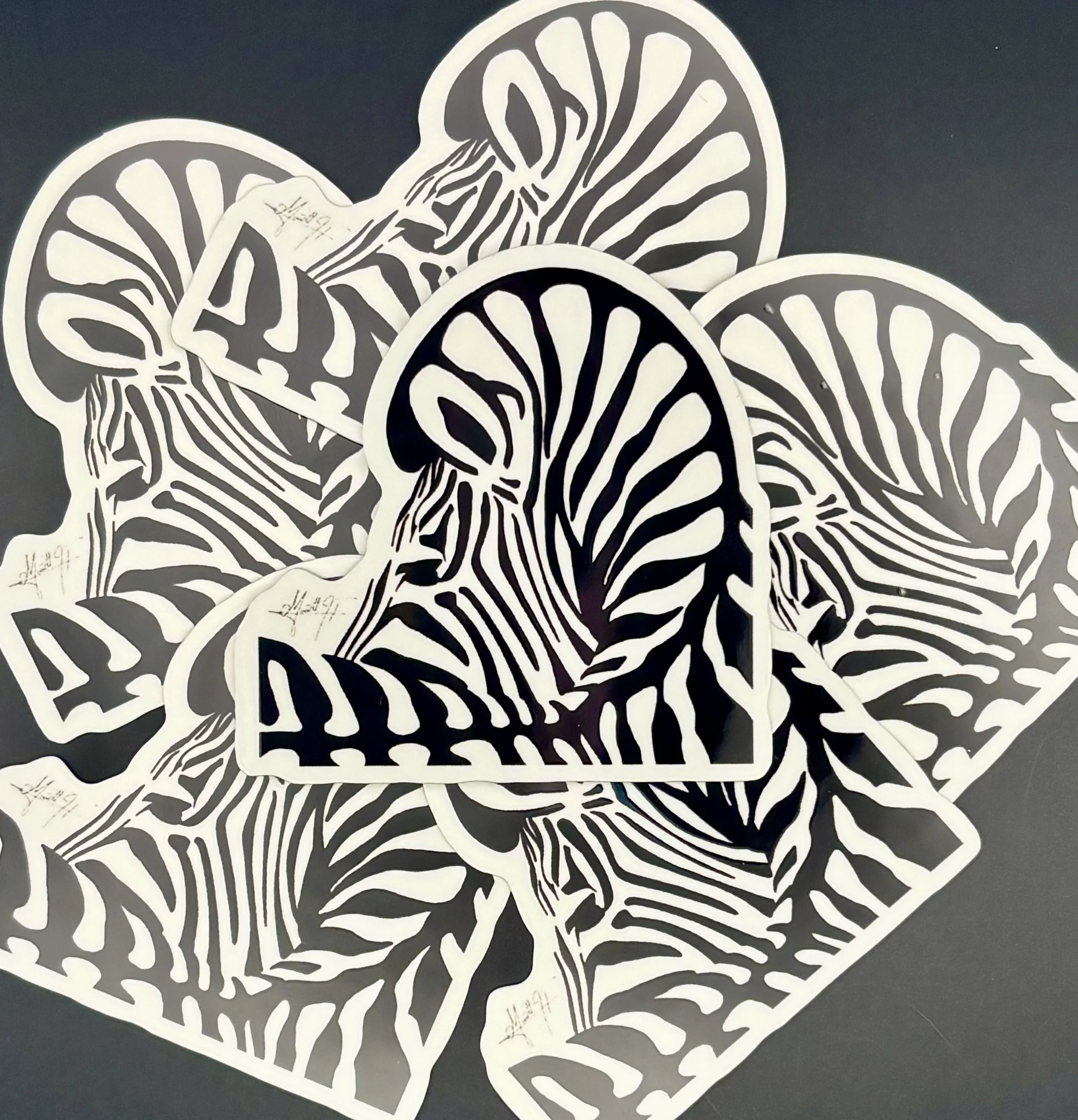 Zebra 3.jpeg