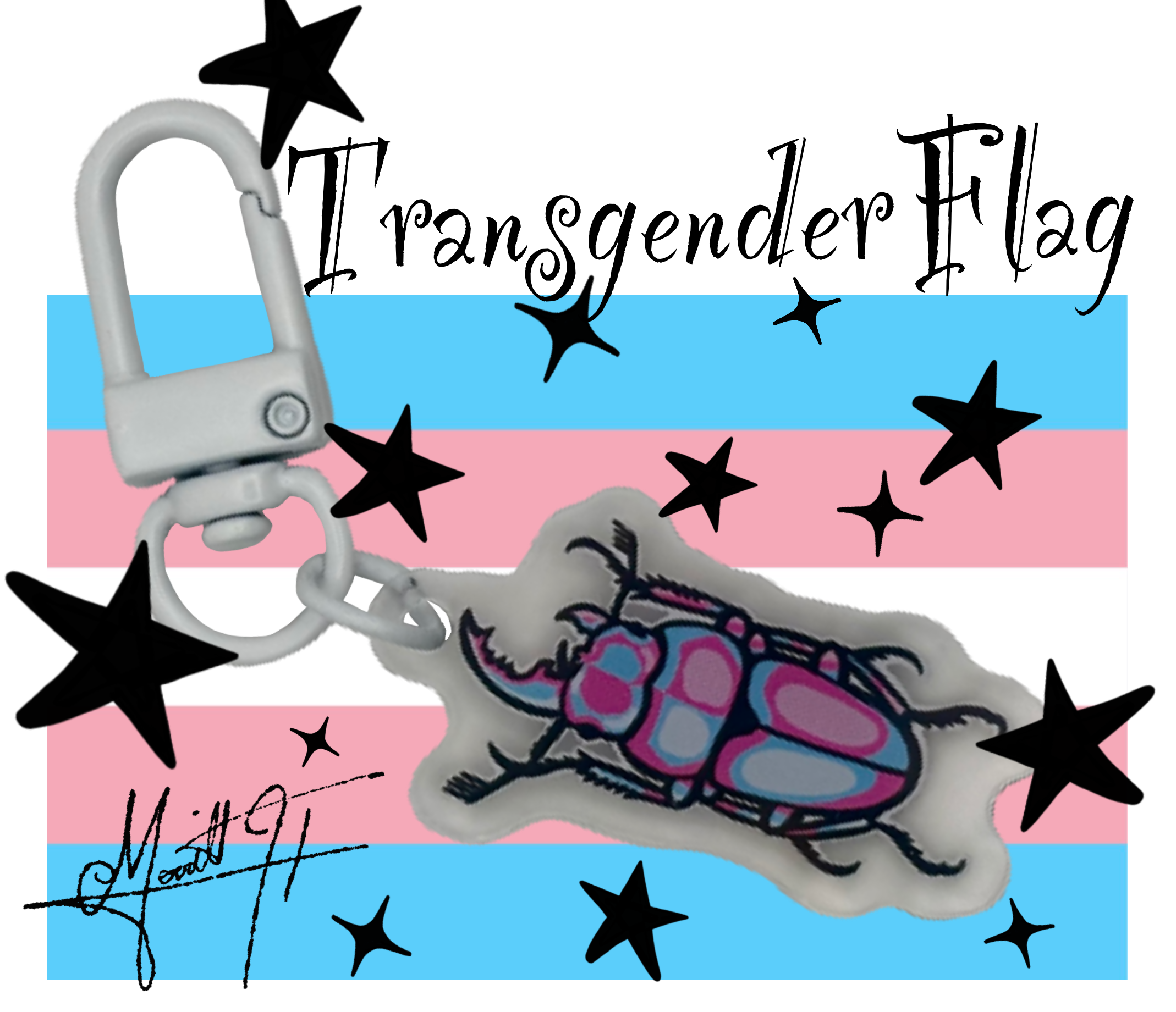 Transgender 3.PNG
