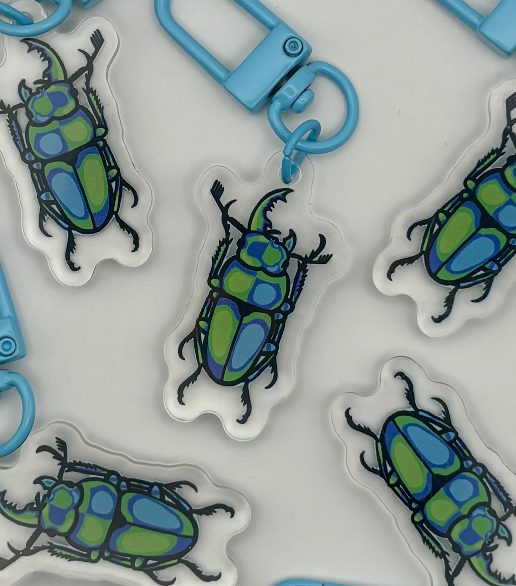 Gay Beetle Pride Keychain