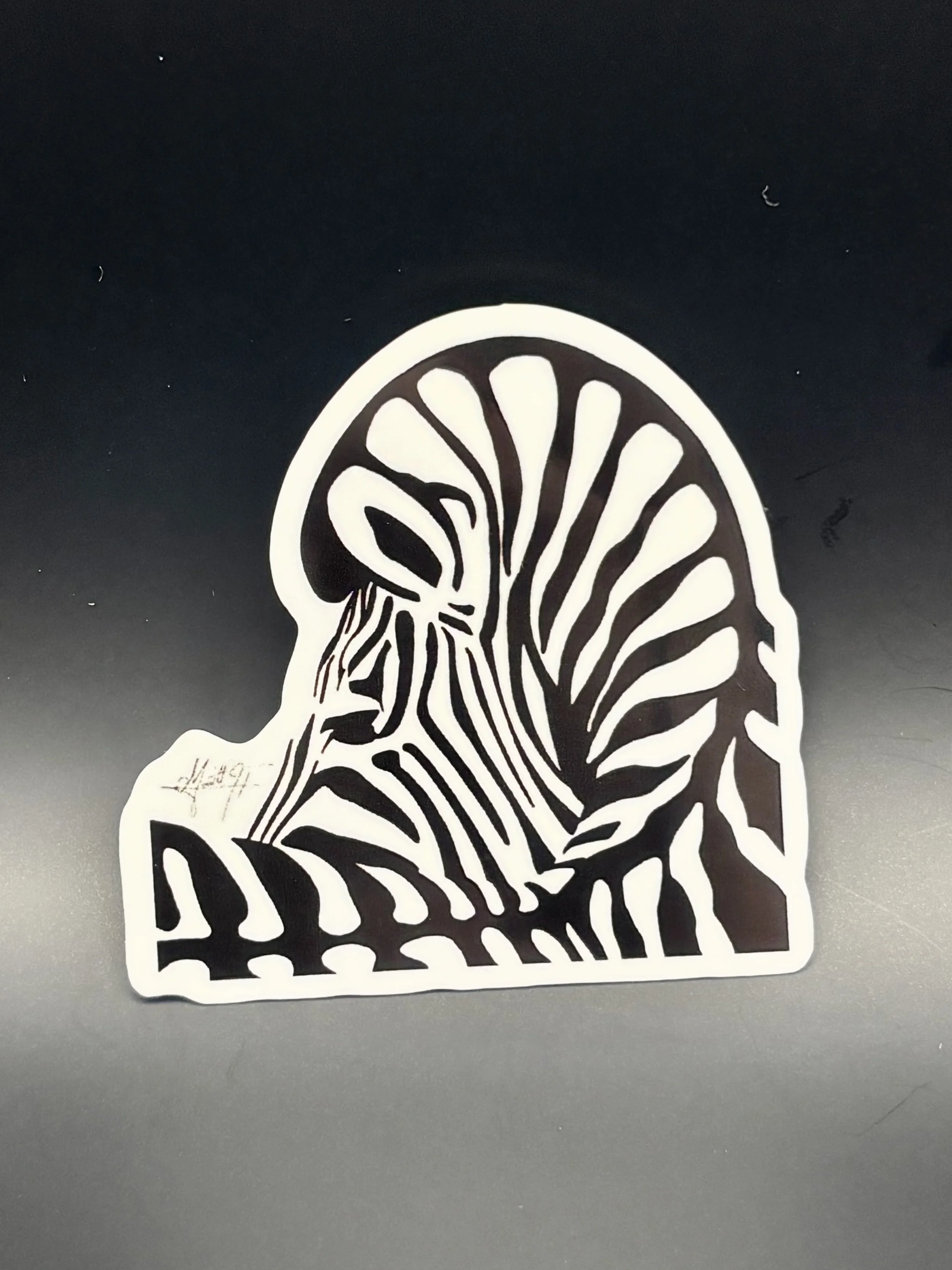 Zebra 2.jpeg