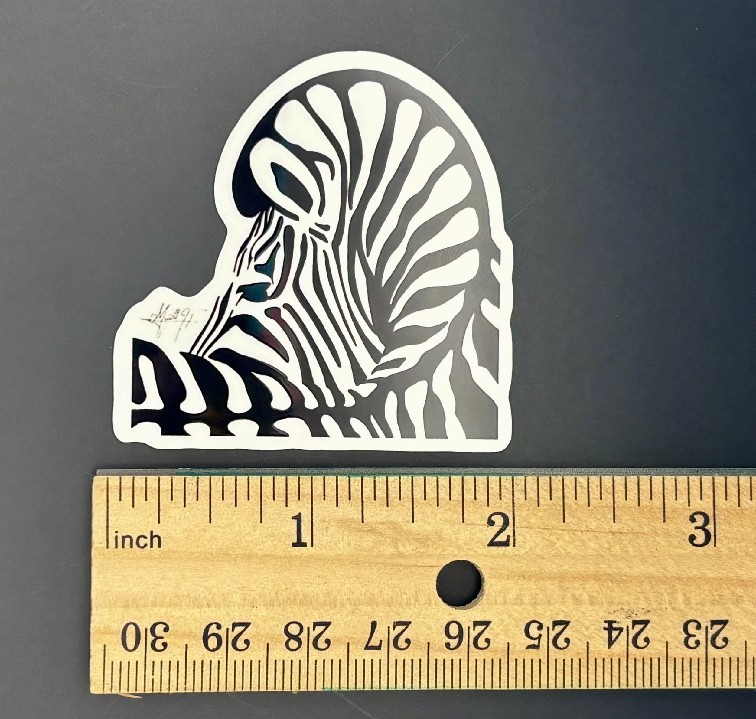 Zebra 4.jpeg