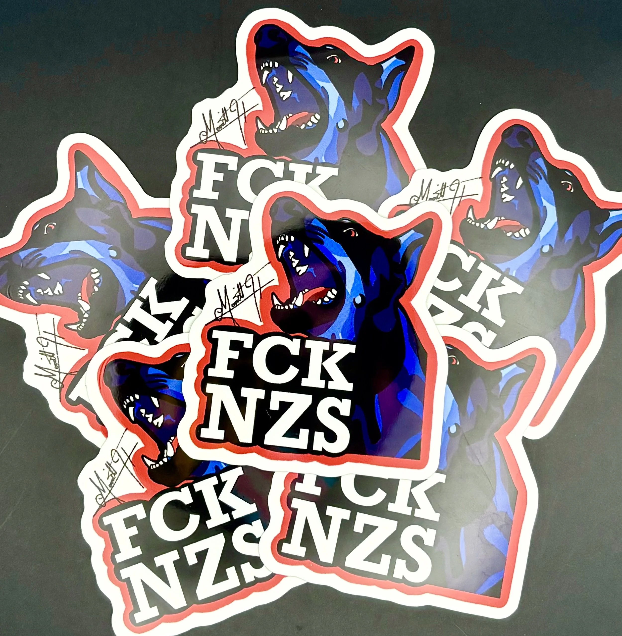 FCKNZS 3.jpeg