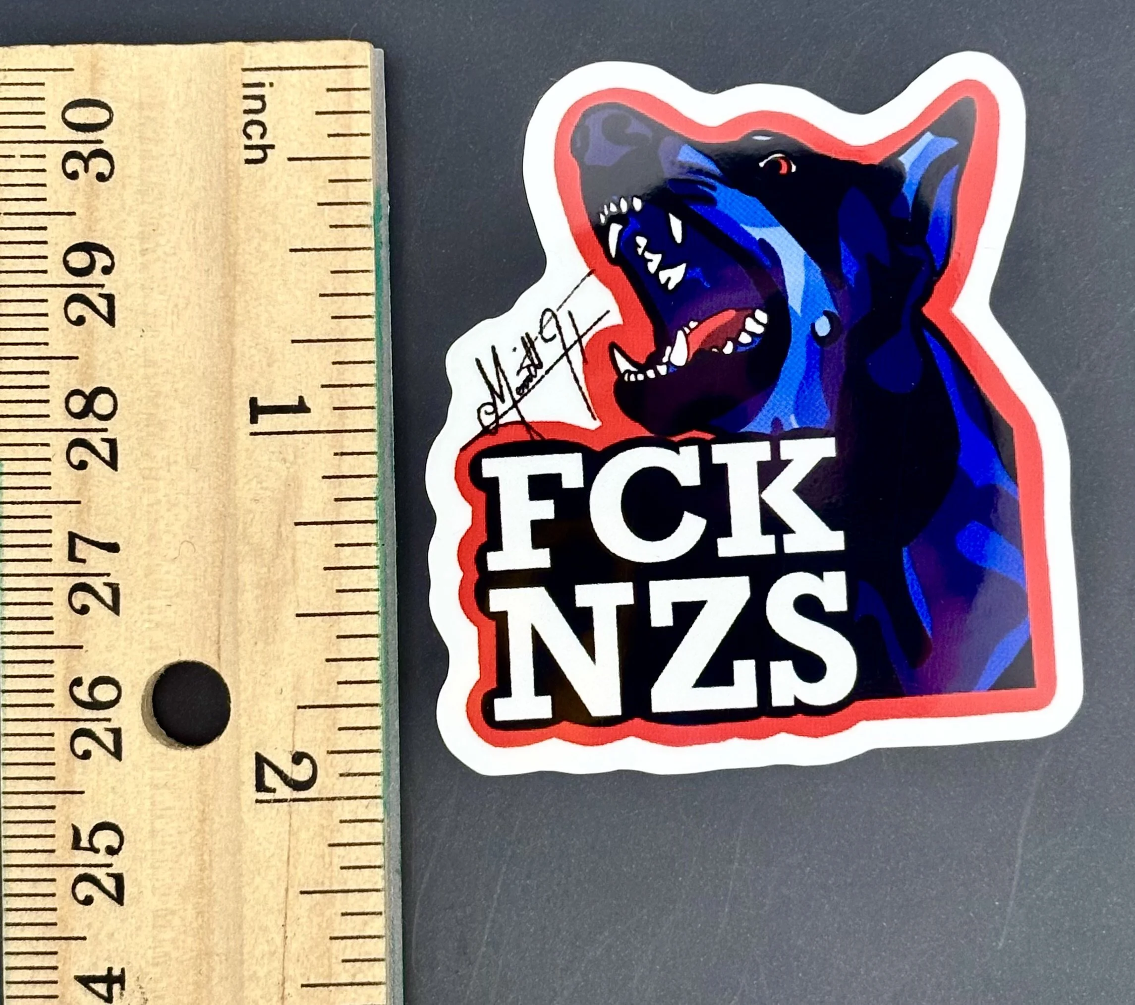 FCKNZS 4.jpeg