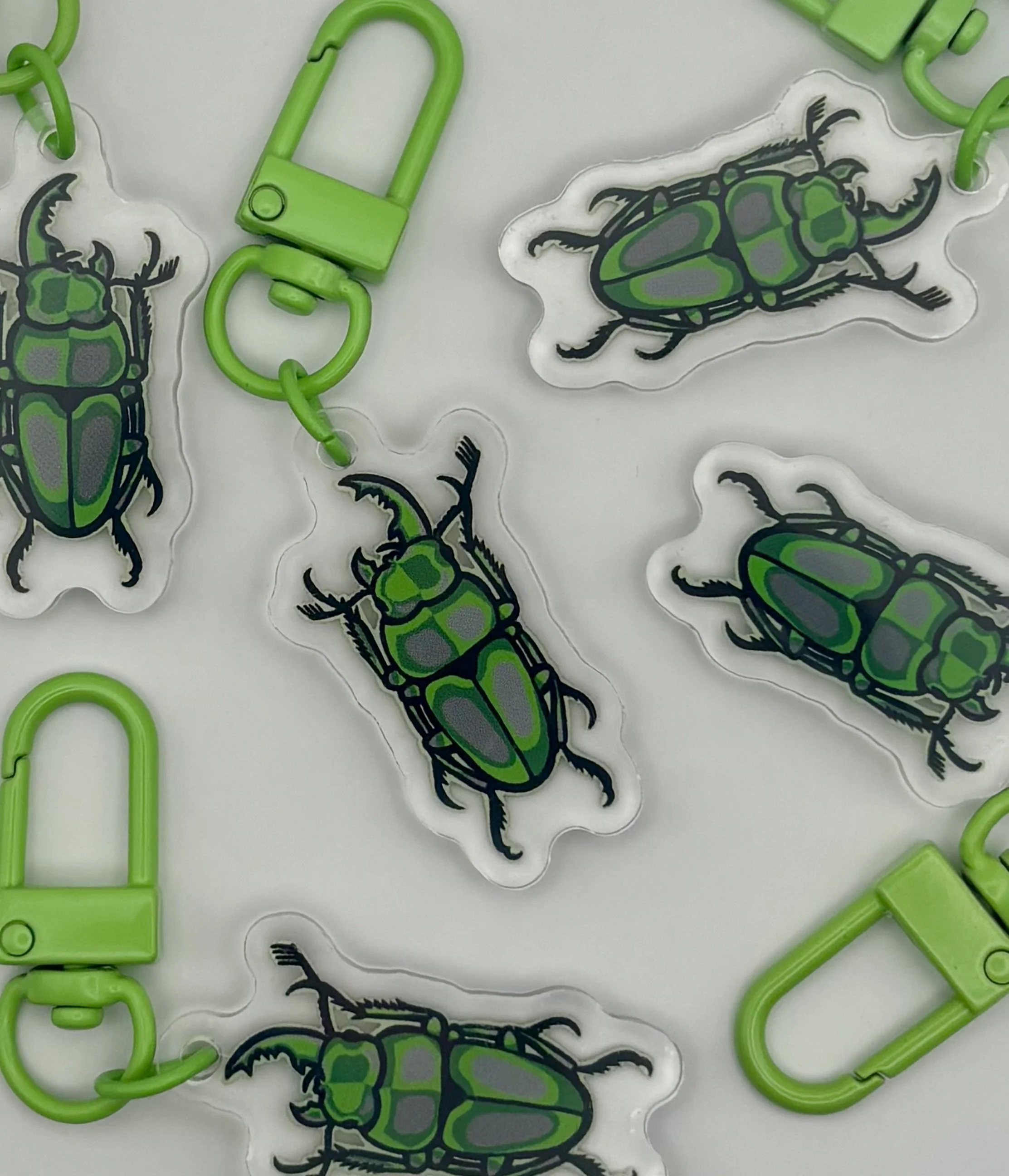 Aromantic Beetle Pride Keychain