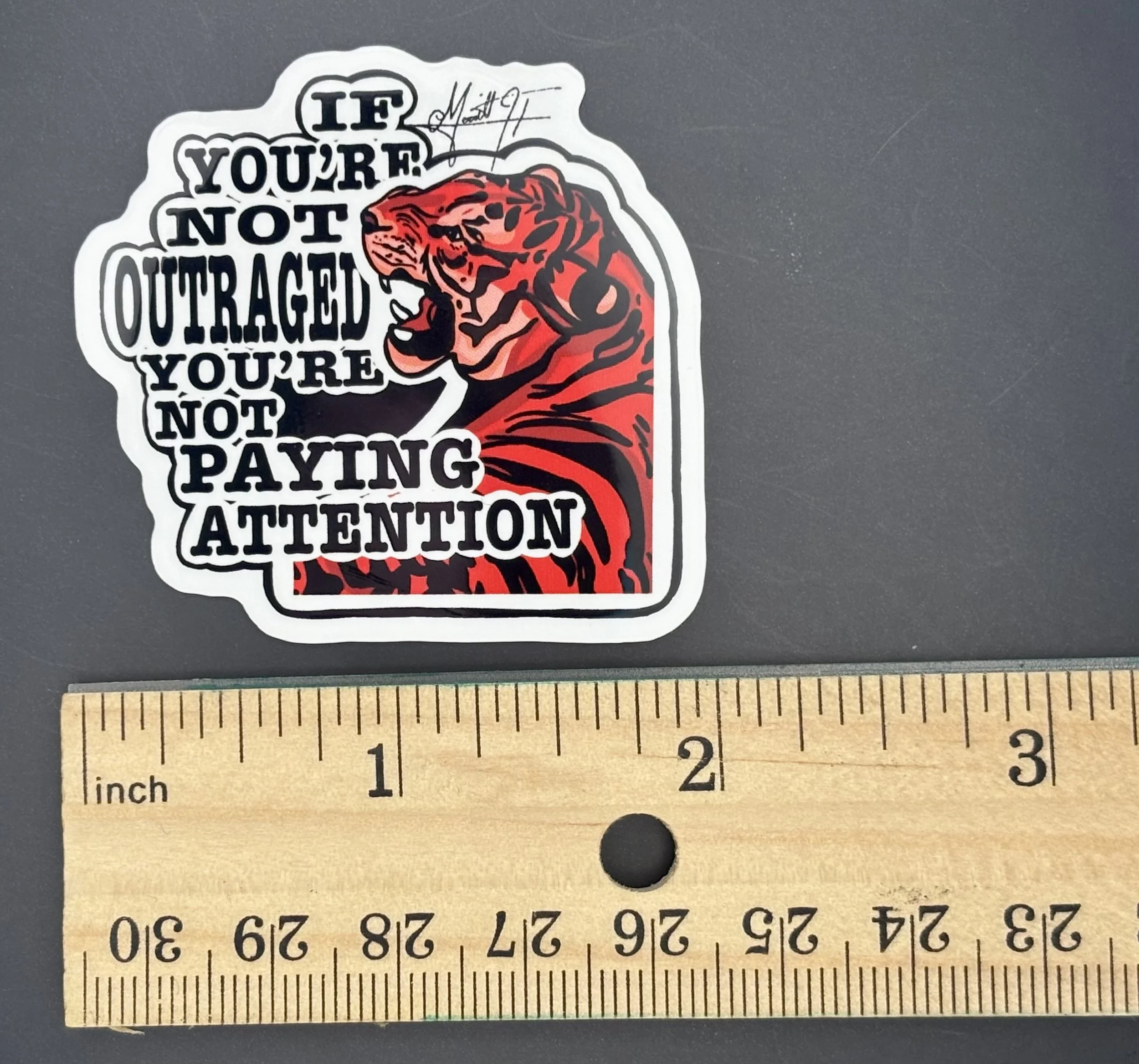 Outraged Tiger 4.jpeg