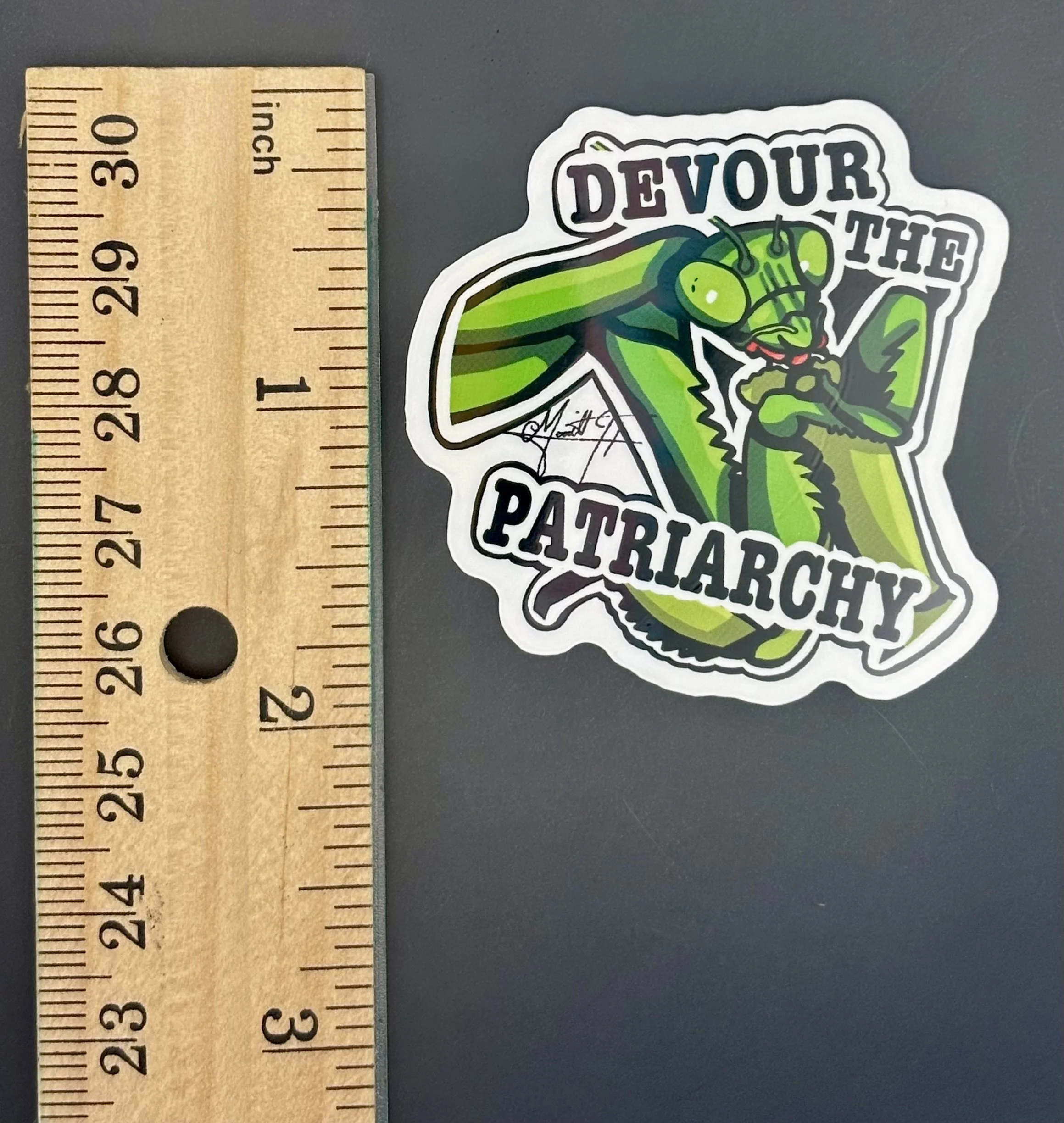 Praying Mantis 4.jpeg