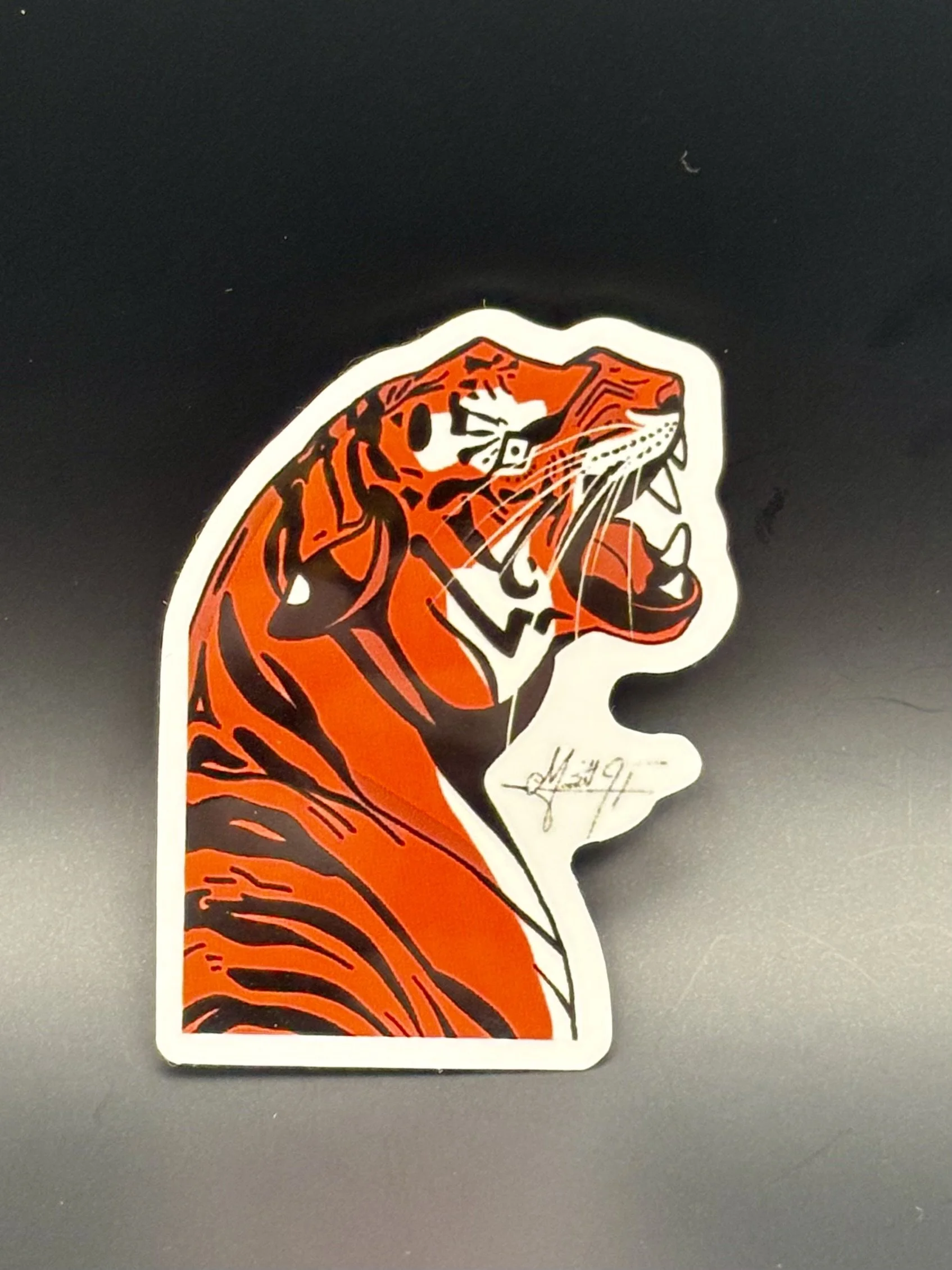 Tiger 2.jpeg