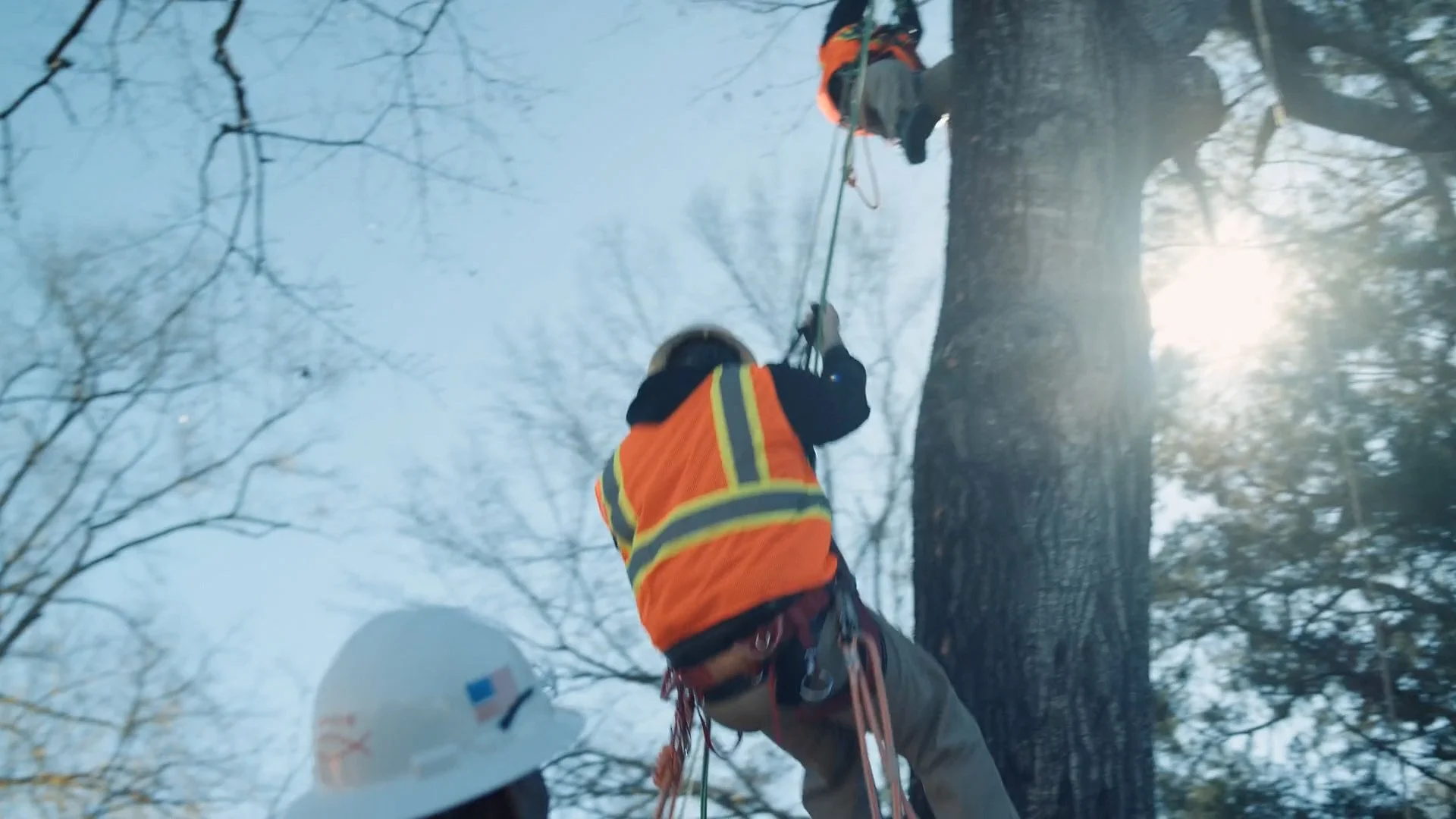 utility_tree_trimming_program___alabama_power (1080p).00_02_28_06.Still024.jpg