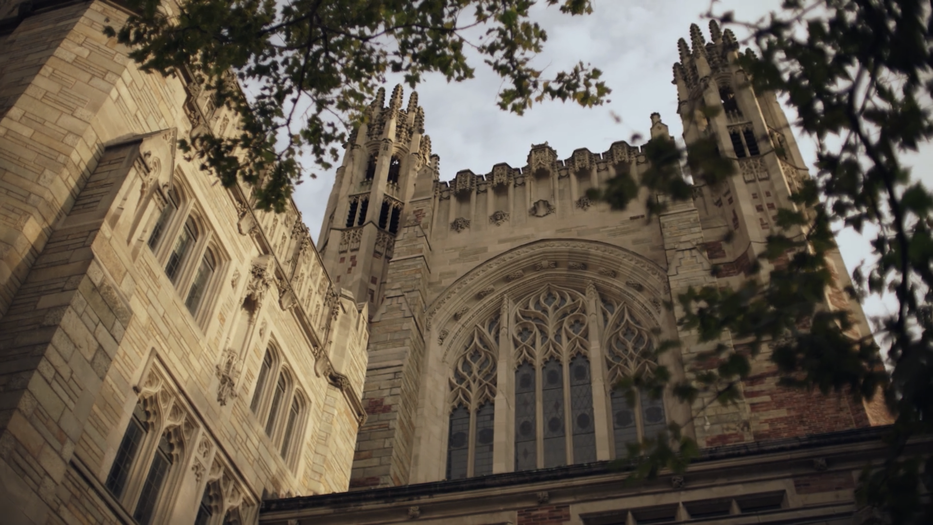 yale4.png