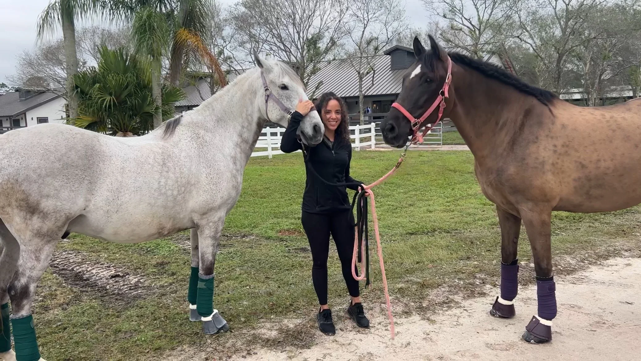 A woman standing between two horses on a grassy area, touching the face of the white horse on her left. The horses are wearing purple and pink halters and leg wraps, and the woman is smiling. Animal energy healing.